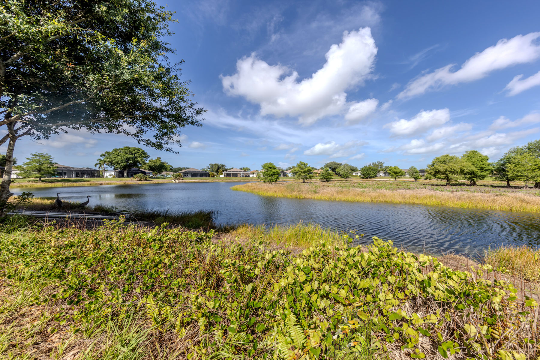  WOODMERE LAKES - 物件實景