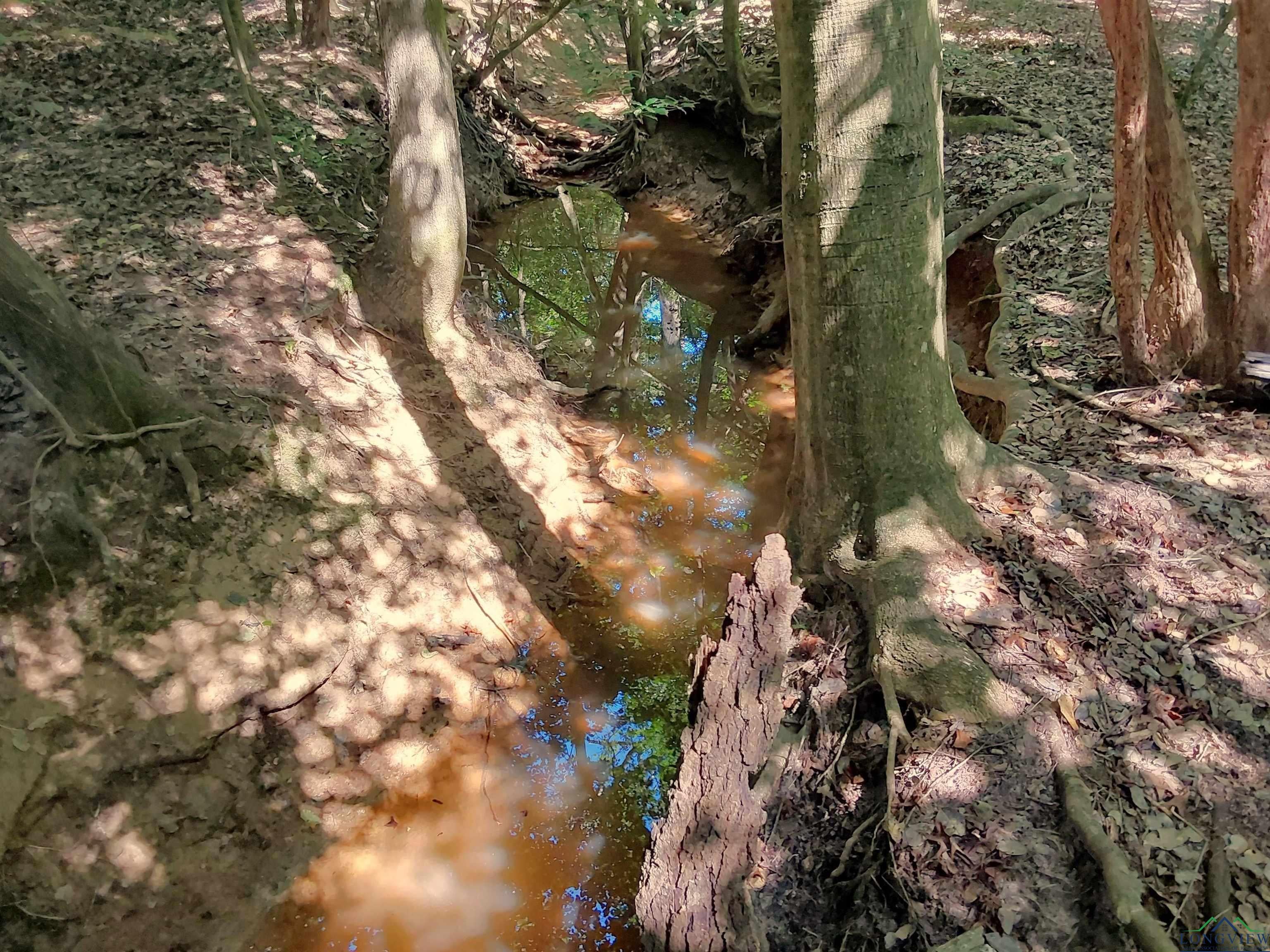 Linden, Texas, 75563, United States, 3 Bedrooms Bedrooms, ,3 BathroomsBathrooms,Residential,For Sale,1974630