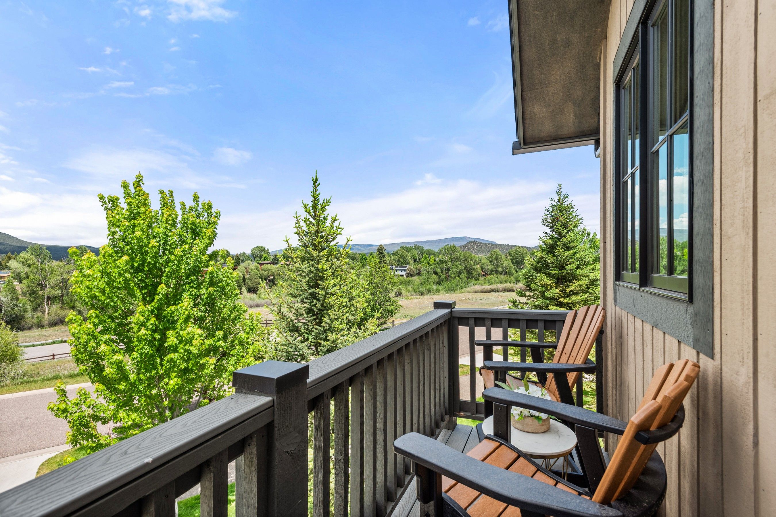  Unrivaled Mt. Sopris Views on the River Valley Ranch Golf Course - 物件實景