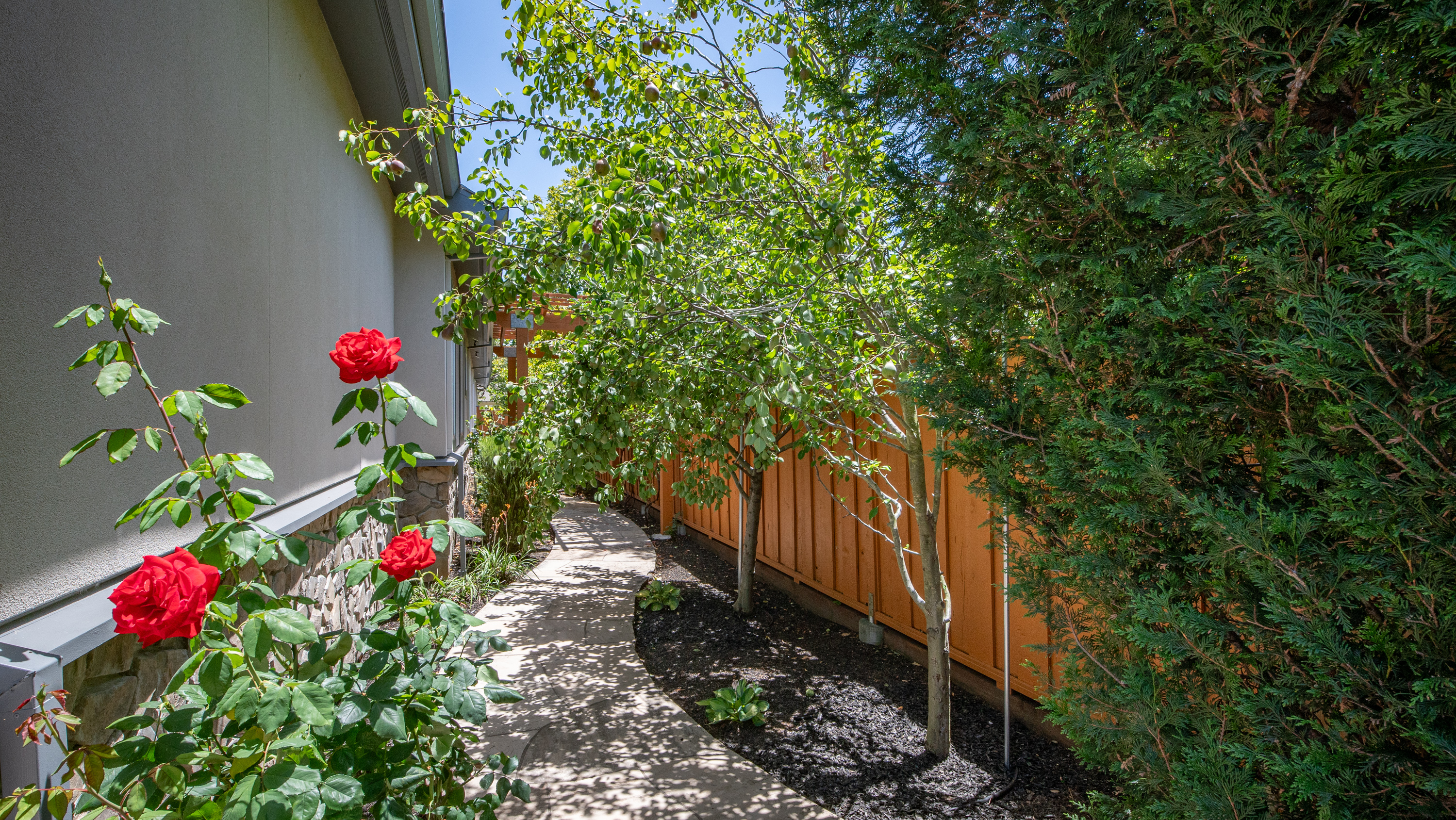 Designer Home in Forbes Neighborhood - 物件實景