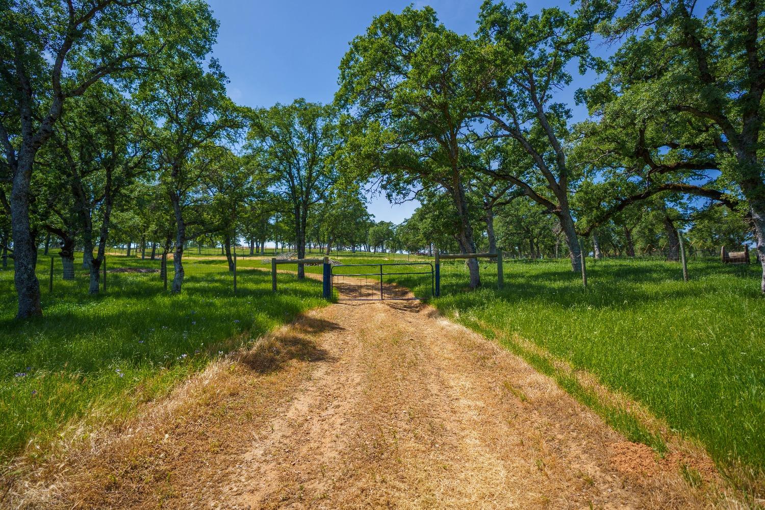 Lincoln, California, 95648, United States, ,Land,For Sale,1784125