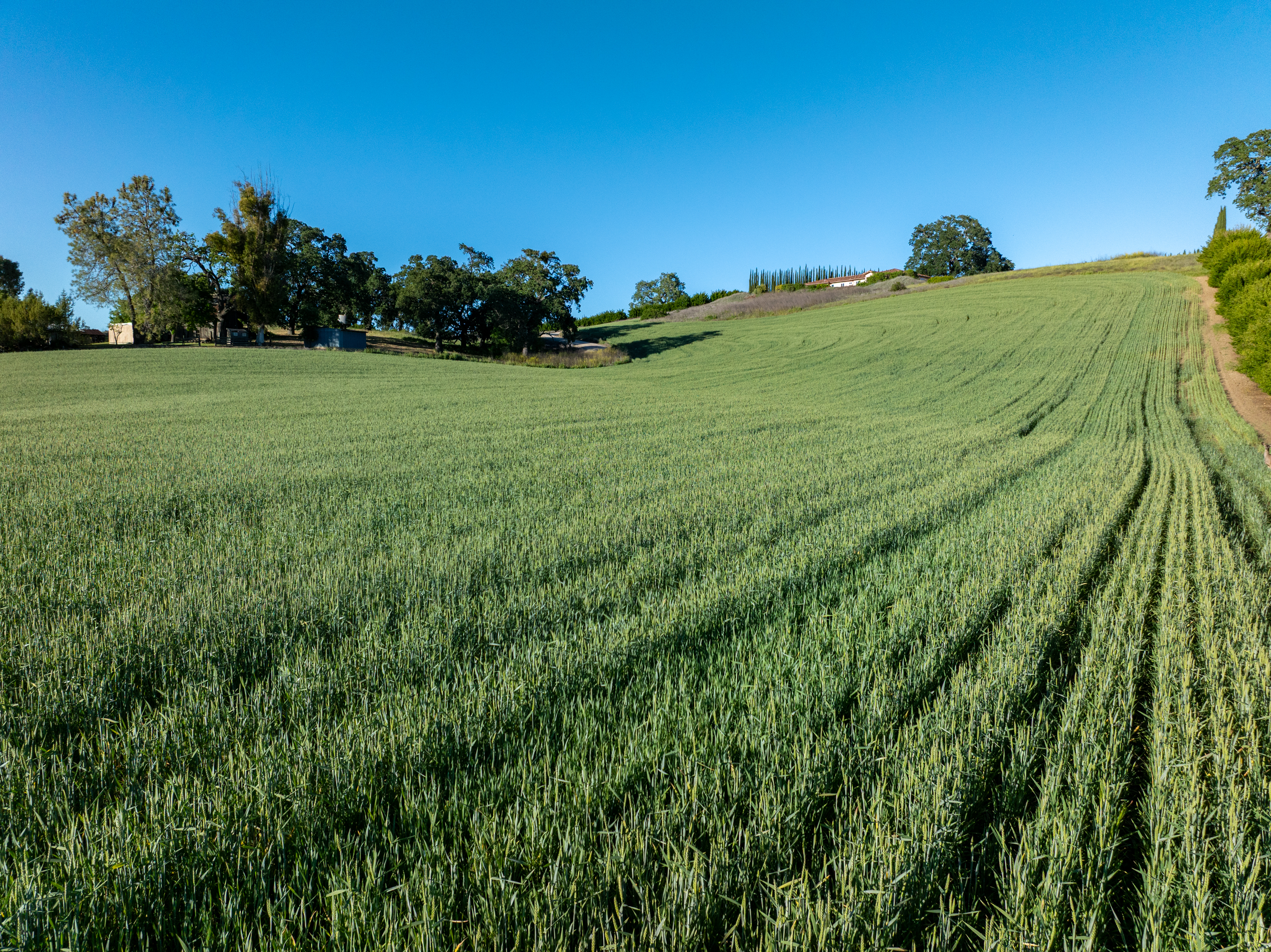  5250 & 5260 - 物件實景