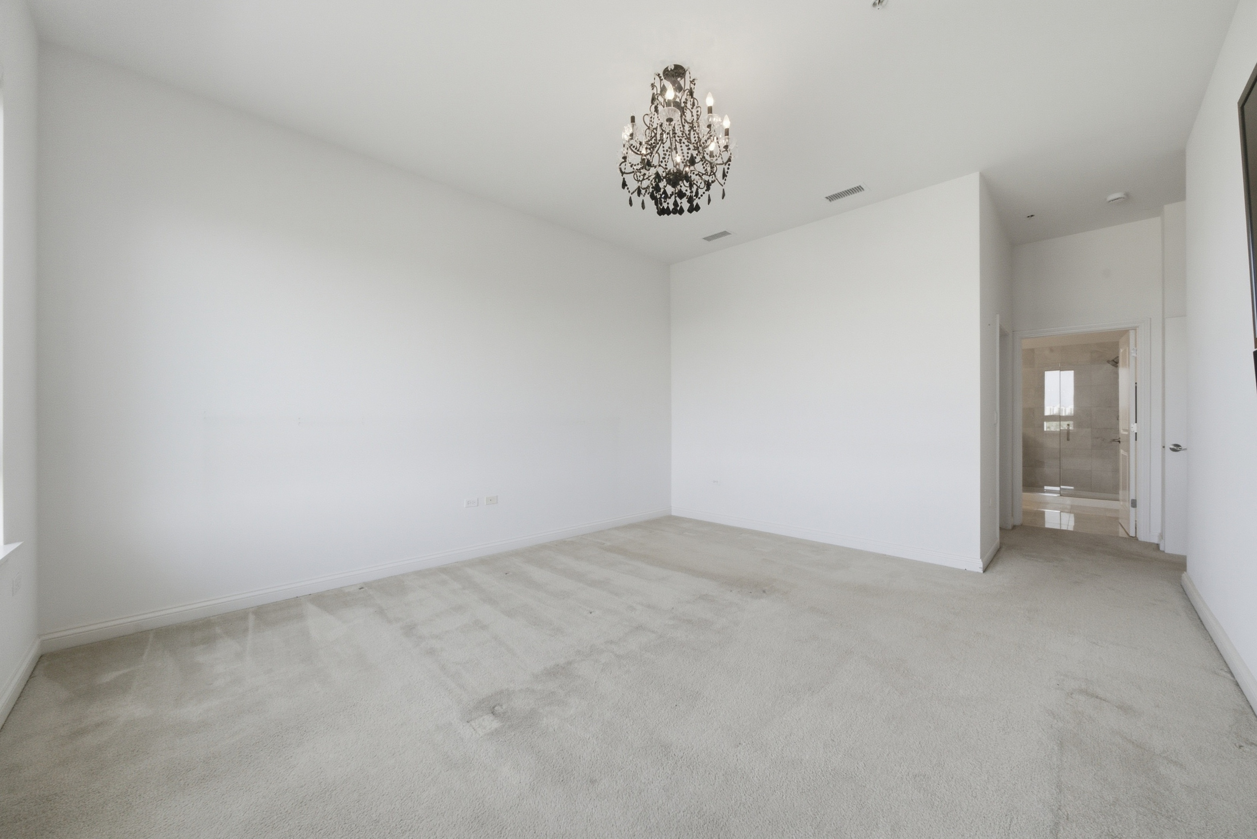  Penthouse-Level Residence in the Heart of Burr Ridge - 物件實景