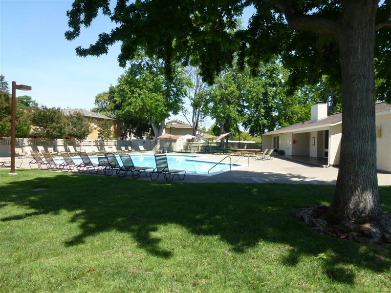 Sunnyvale, California, 94087, United States, 3 Bedrooms Bedrooms, ,2 BathroomsBathrooms,Residential,For Sale,1739915