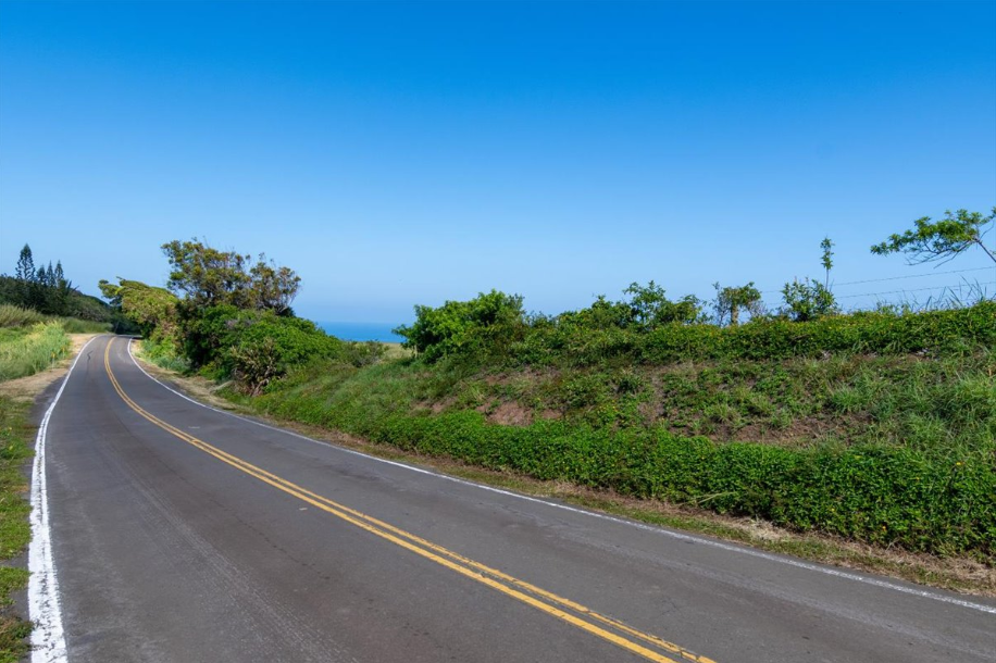 Kapaau, Hawaii, 96755, United States, ,Land,For Sale,2005975