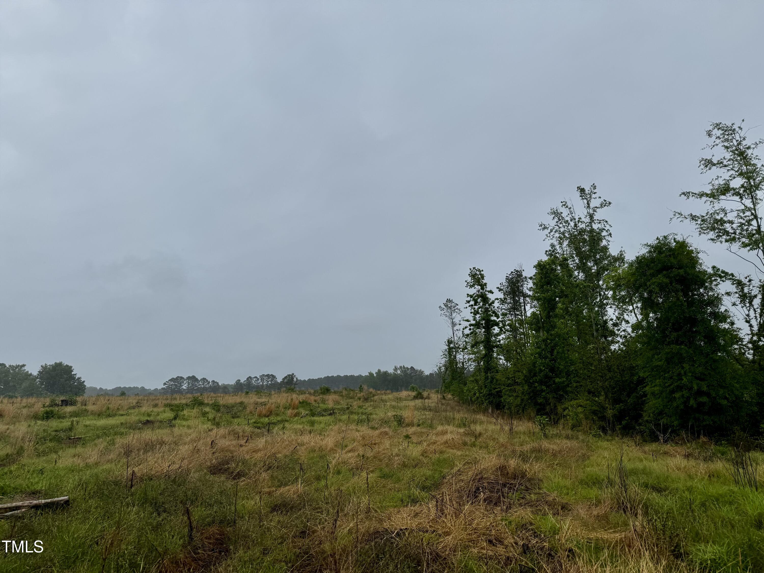 Murfreesboro, North Carolina, 27855, United States, ,Land,For Sale,1796477