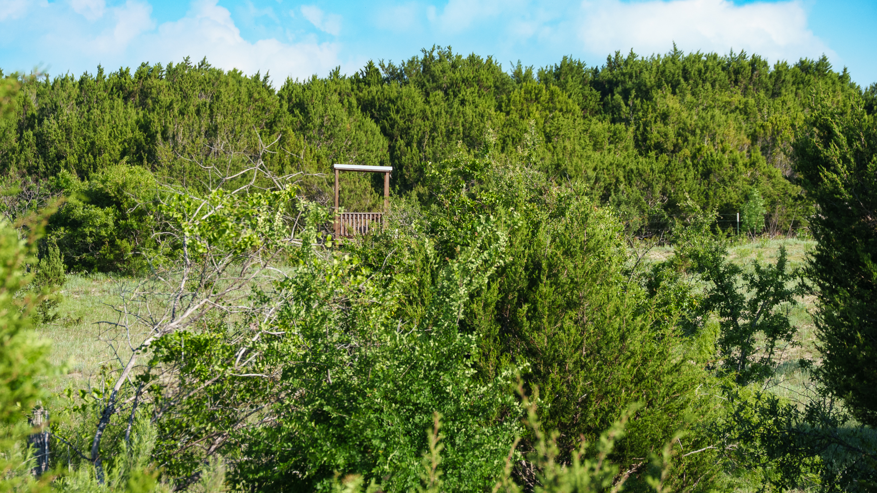  A Turnkey Bosque County Retreat Built for Recreation - 物件實景