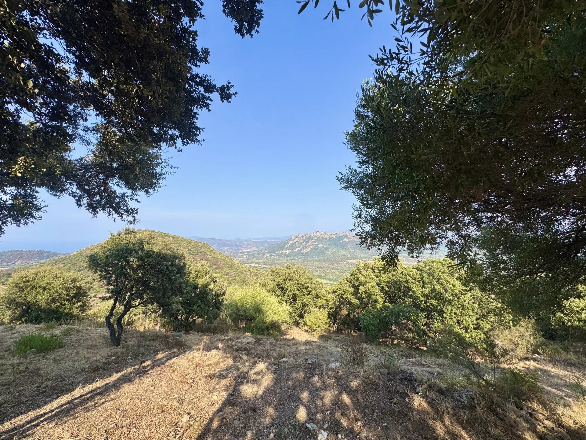 Monticello, Corsica, 20220, FR, ,Land,For Sale,1966226