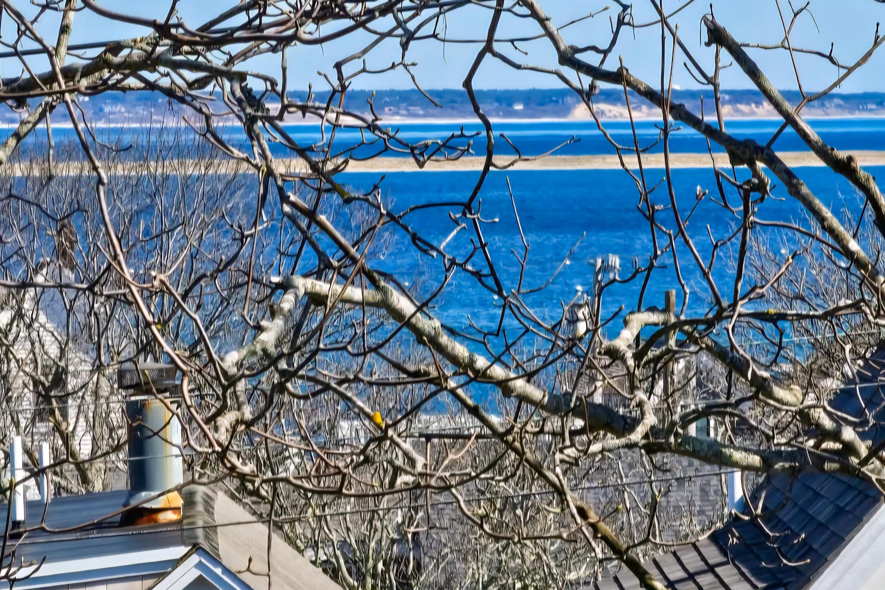  West End Legacy with Bay Views and Rare Outdoor Space - 物件實景