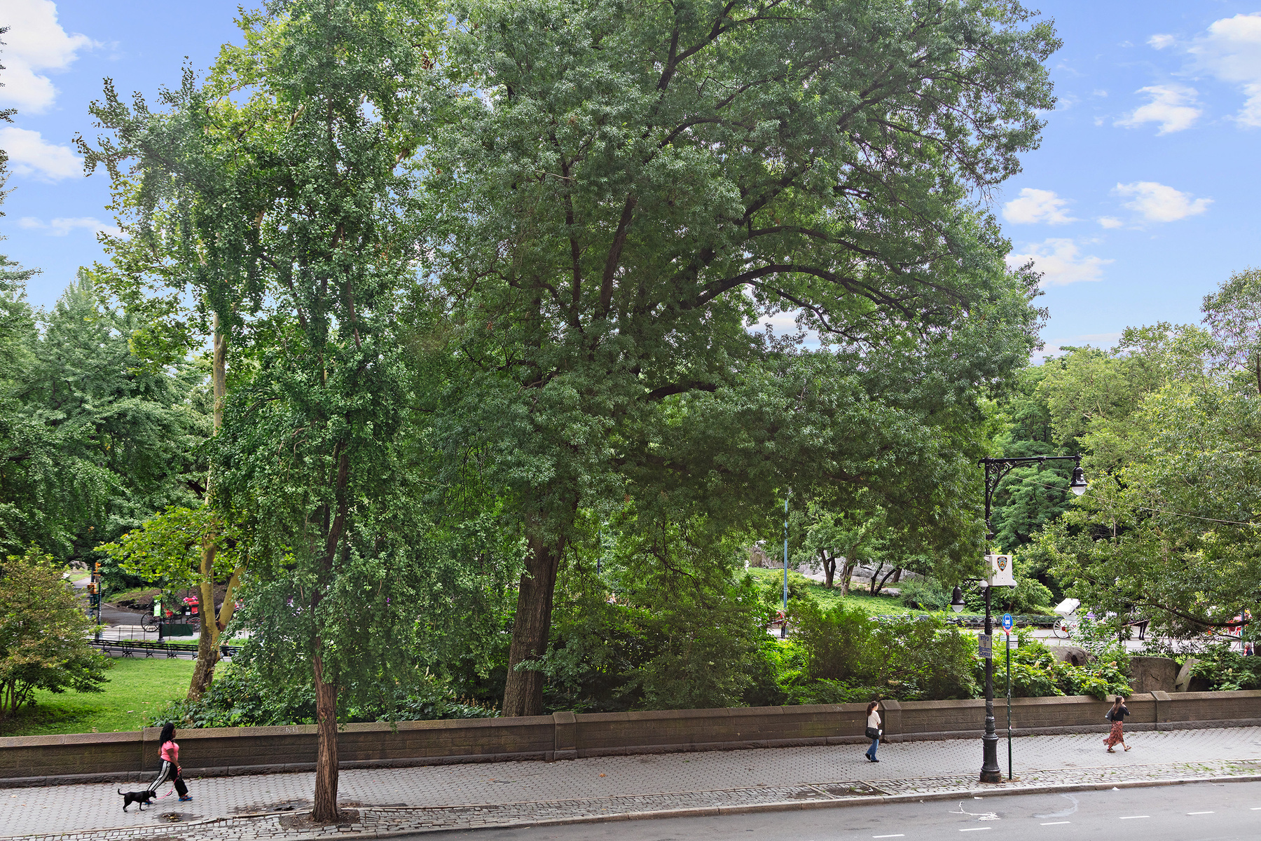  120 Central Park South - 物件實景
