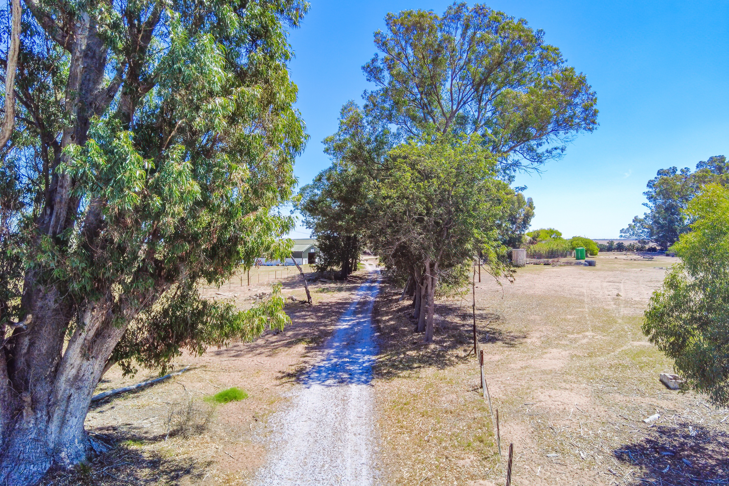  81/4 Brakfontein farm - 物件實景