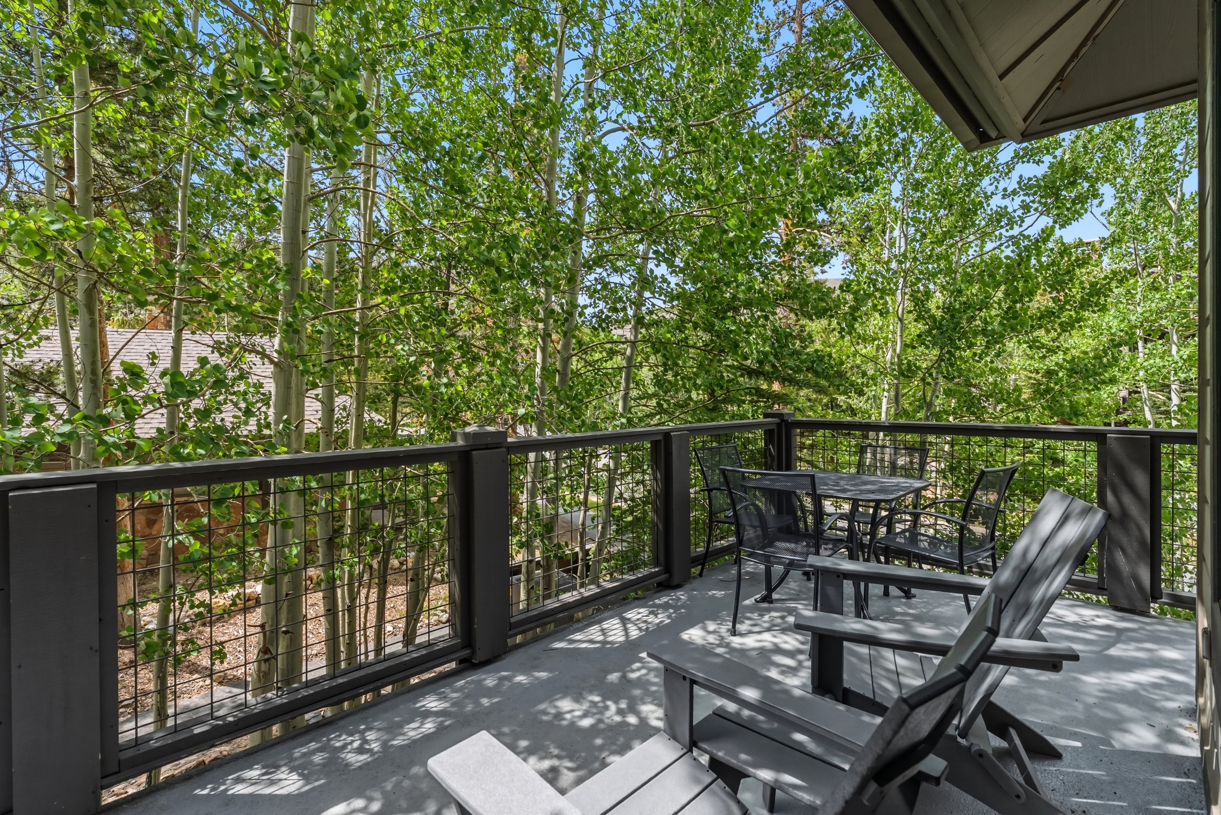  35 Mountain Thunder Drive, Breckenridge, CO, 80424 - 物件實景