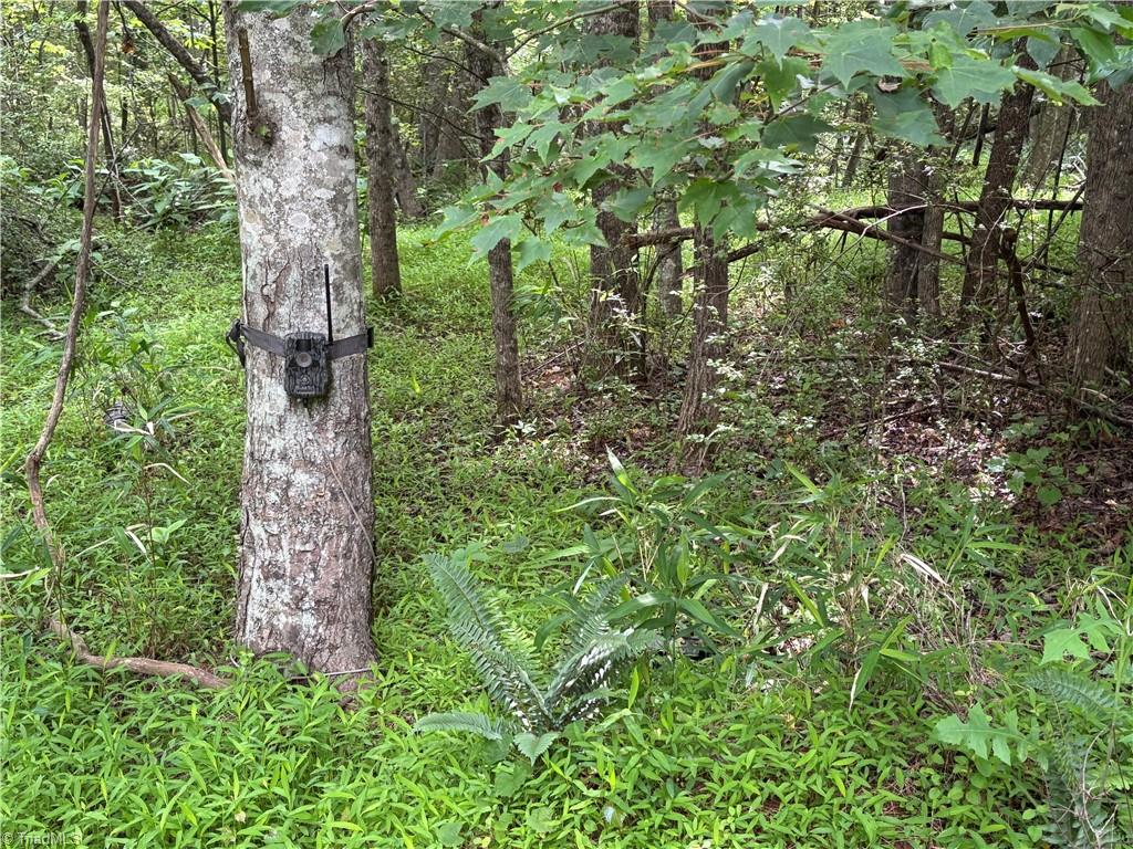 Pinnacle, North Carolina, 27043, United States, ,Land,For Sale,1829534