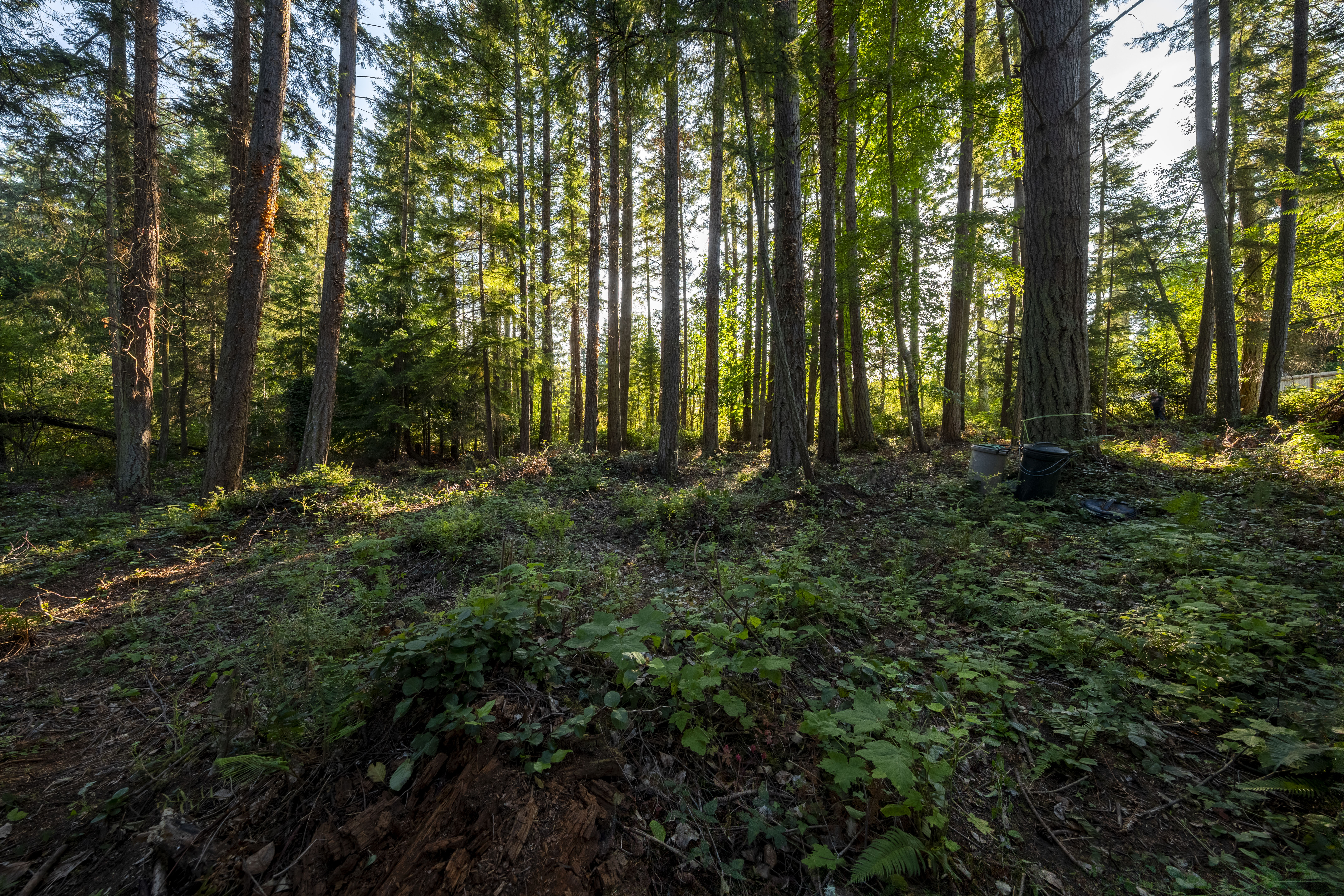  Perfect Whidbey Island Location - 物件實景