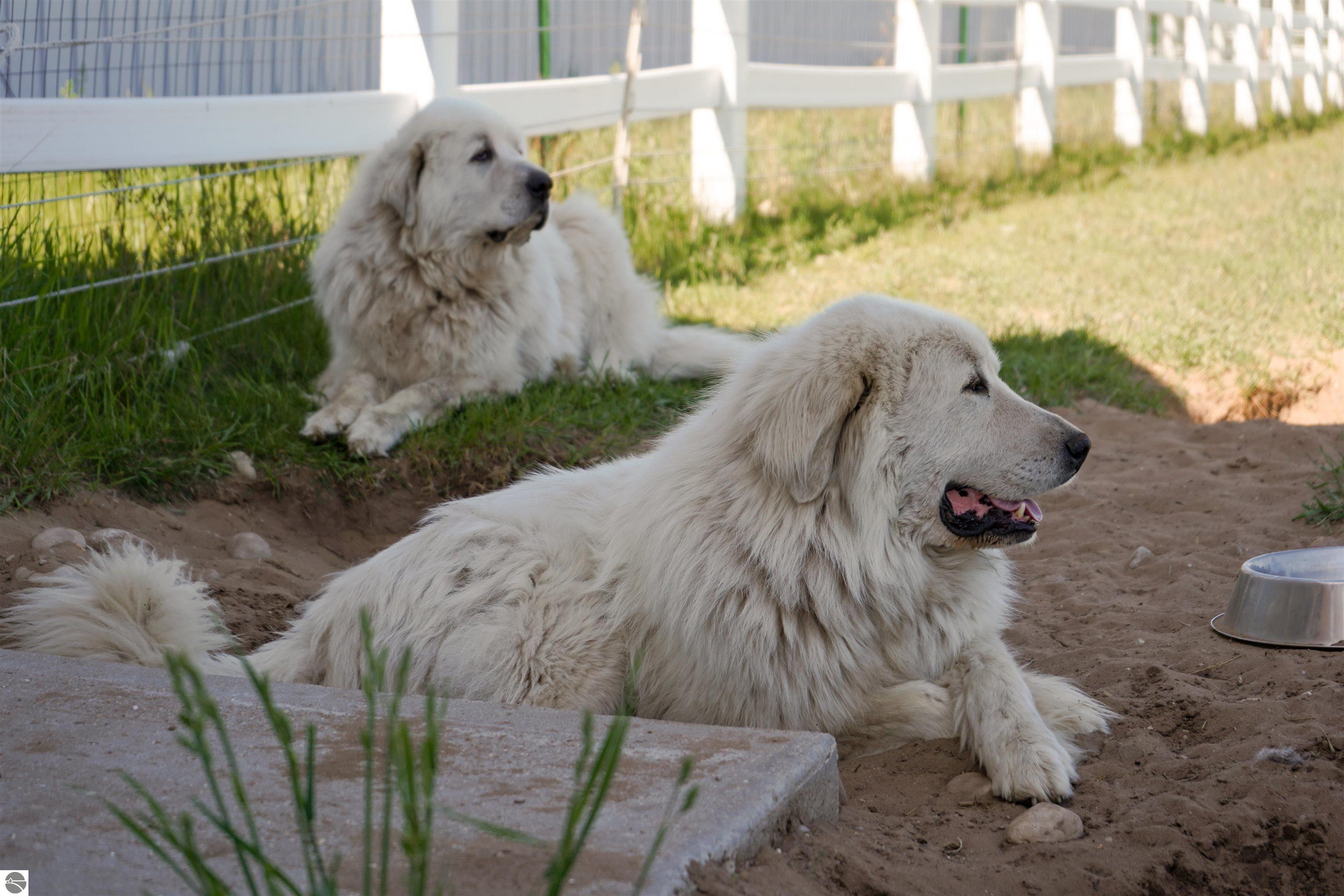 Traverse City, Michigan, 49686, United States, 3 Bedrooms Bedrooms, ,2 BathroomsBathrooms,Residential,For Sale,1819193