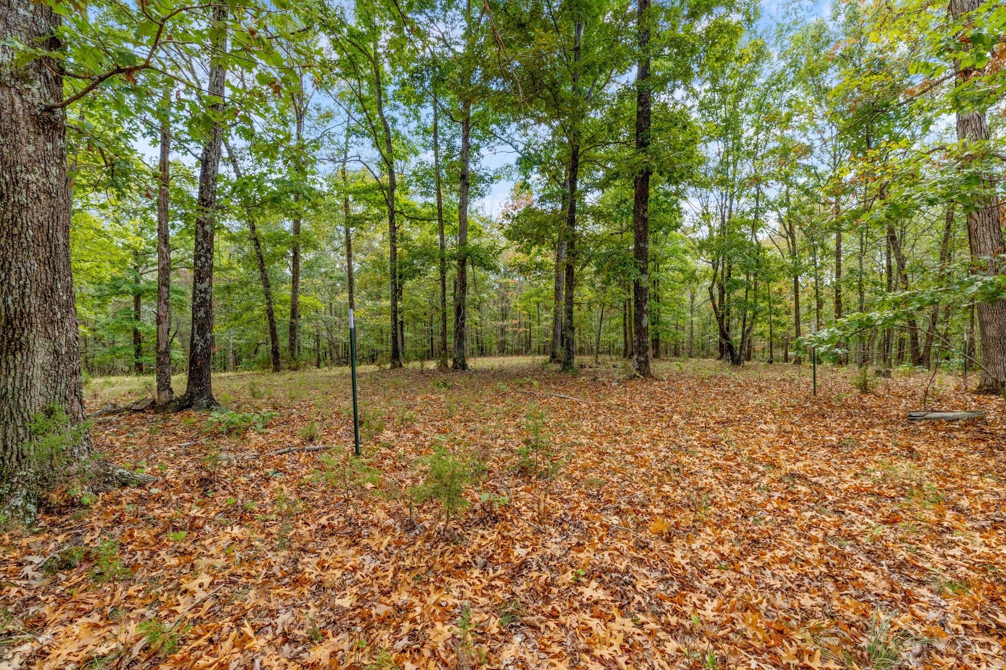 Mc Ewen, Tennessee, 37101, United States, ,Residential,For Sale,1923664