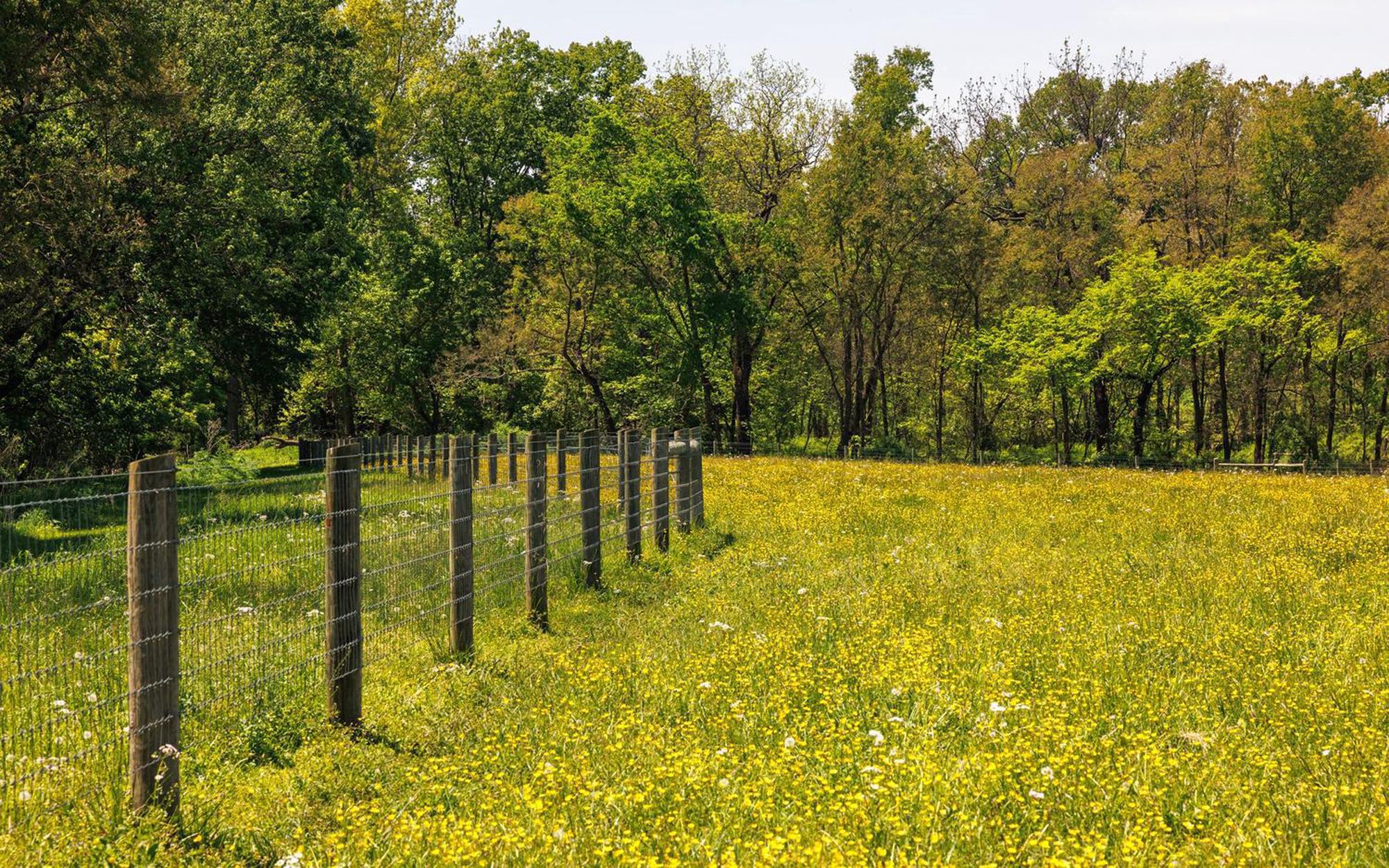  43225 Hibler Road, Leesburg, VA, 20176 - 物件實景
