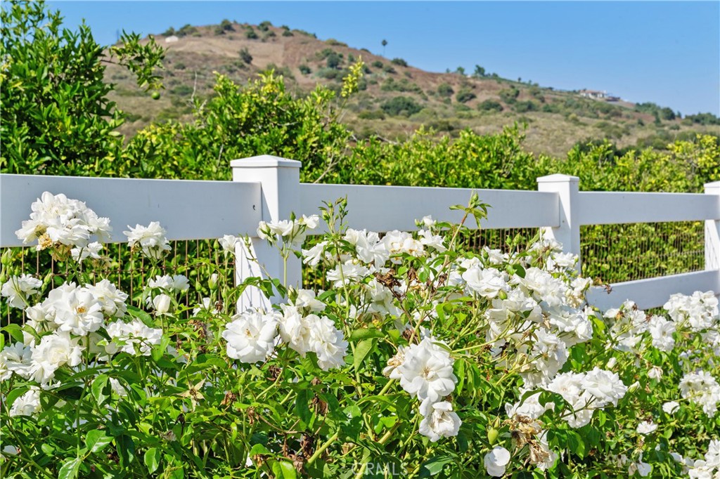 Temecula, California, 92590, United States, 4 Bedrooms Bedrooms, ,4 BathroomsBathrooms,Residential,For Sale,1980718