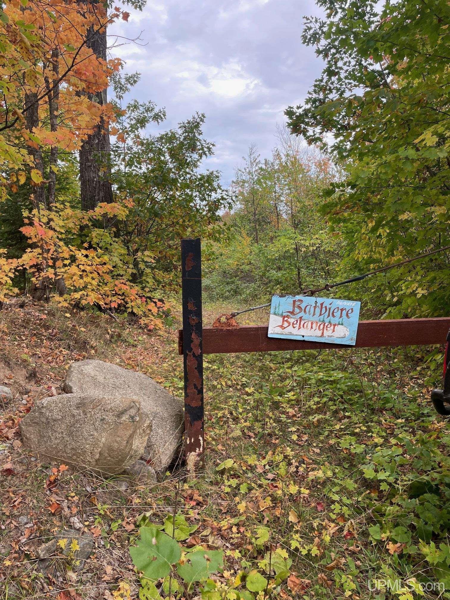 Ishpeming, Michigan, 49829, United States, ,Land,For Sale,1980384