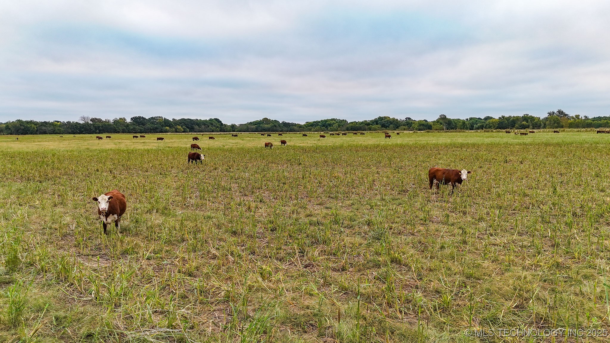 Haskell, Oklahoma, 74436, United States, ,Residential,For Sale,1989058