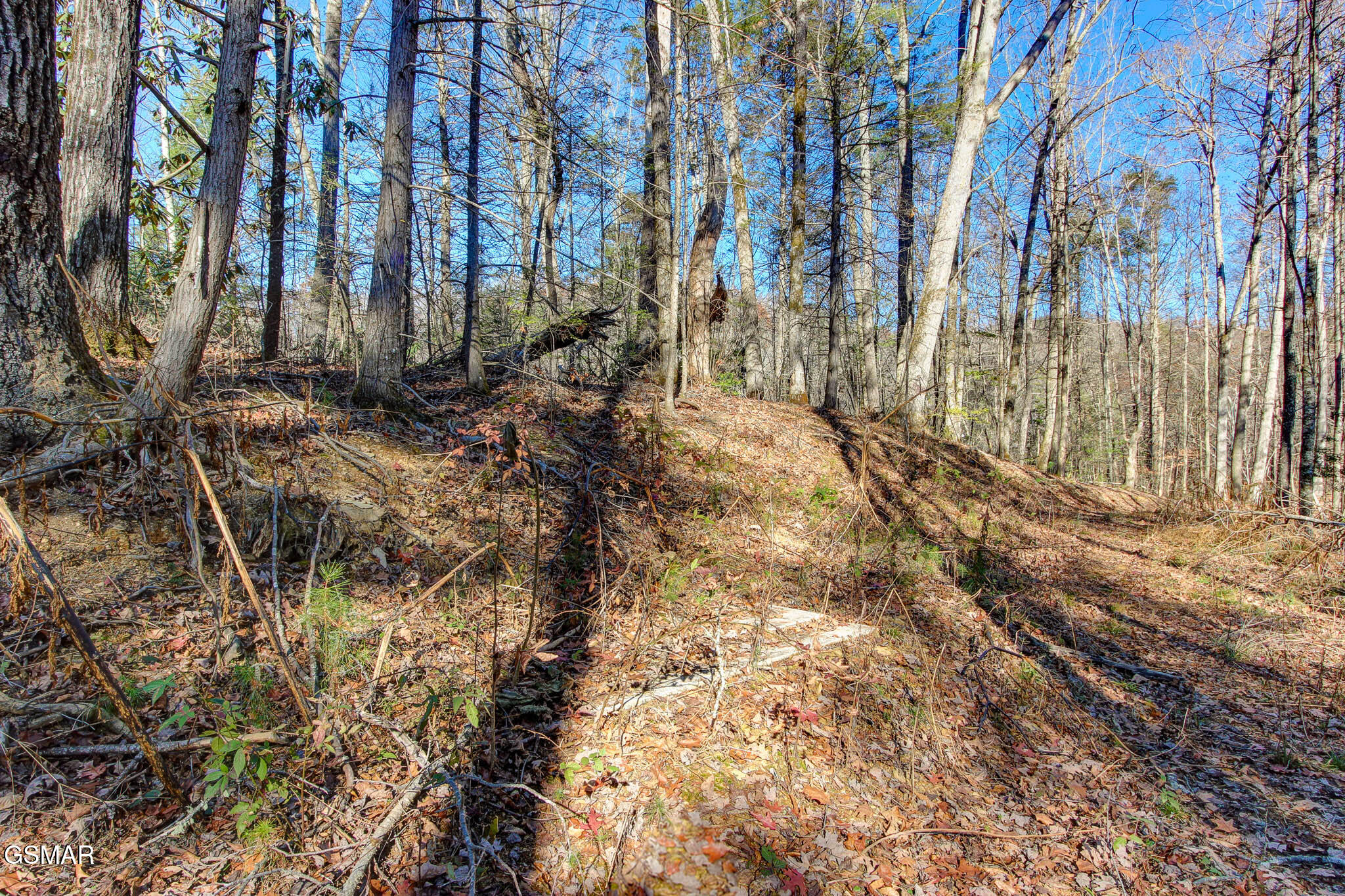 Cosby, Tennessee, 37722, United States, ,Land,For Sale,1978210