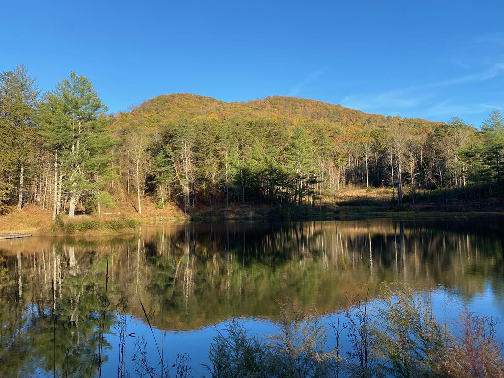 Ellijay, Georgia, 30536, United States, 5 Bedrooms Bedrooms, ,3 BathroomsBathrooms,Residential,For Sale,1982732