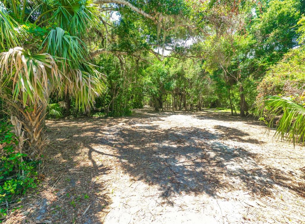 Palm Coast, Florida, 32137, United States, ,Land,For Sale,2000398