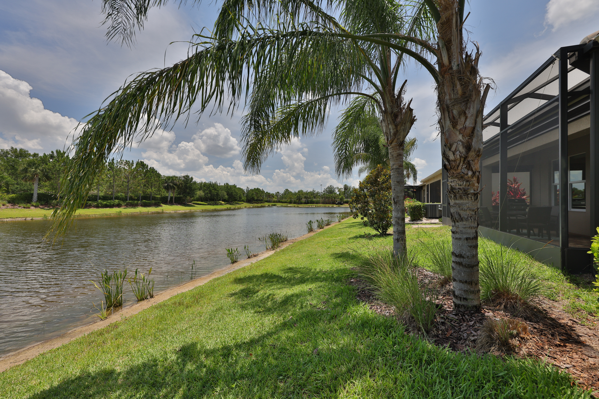 Wimauma, Florida, 33598, United States, 3 Bedrooms Bedrooms, ,3 BathroomsBathrooms,Residential,For Sale,1982600