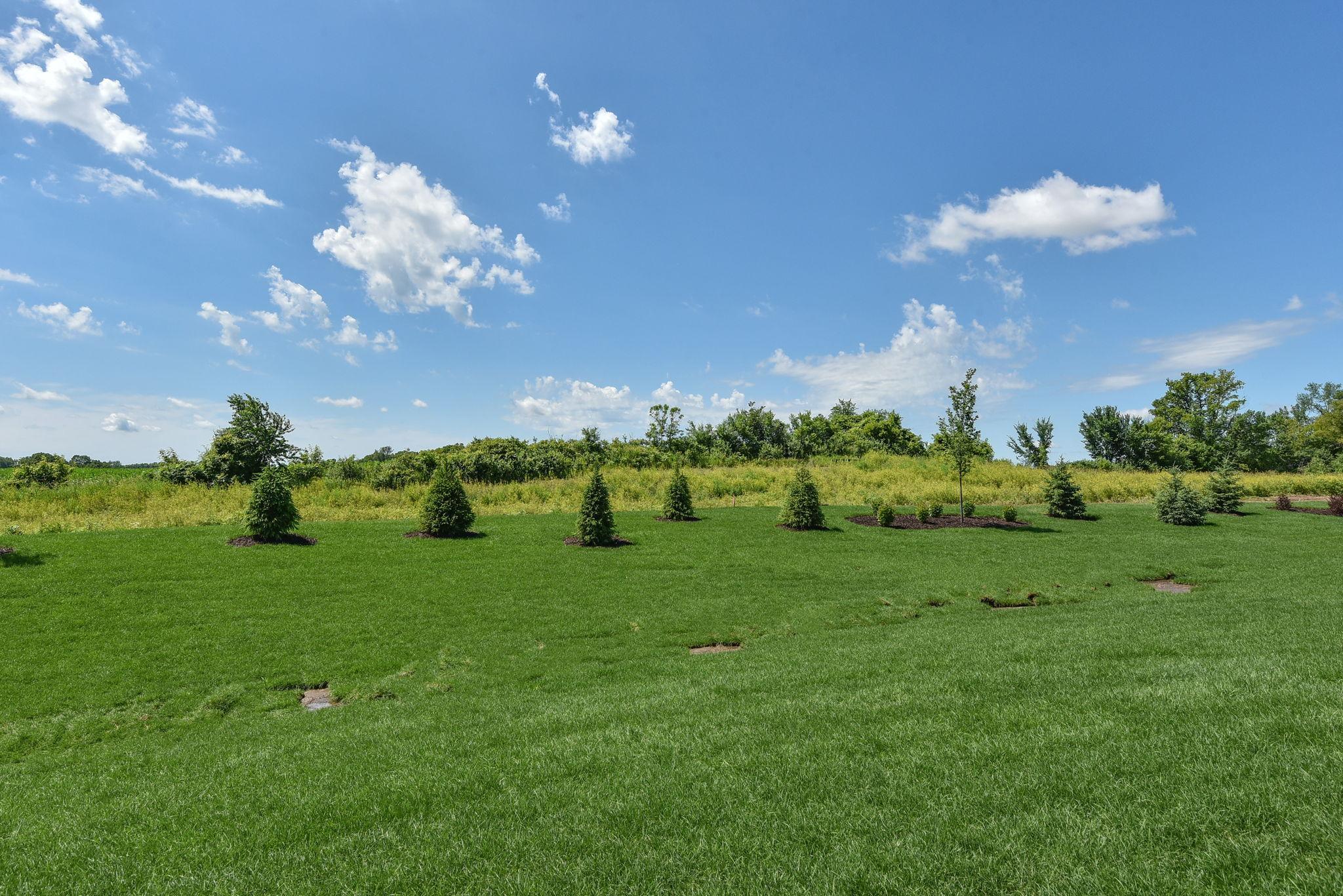 Otsego, Minnesota, 55330, United States, 3 Bedrooms Bedrooms, ,1 BathroomBathrooms,Residential,For Sale,1999559