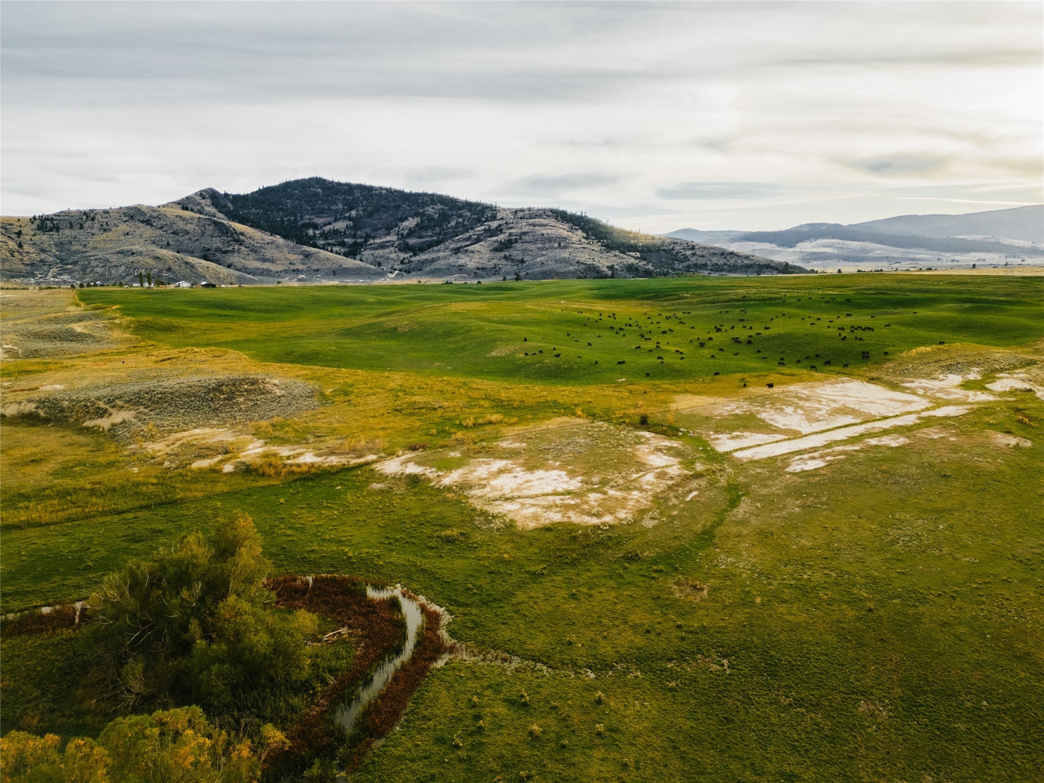 57315 & 57309 Kopp Road, Hot Springs, Montana, 59845, United States, 3 Bedrooms Bedrooms, ,2 BathroomsBathrooms,Residential,For Sale,57315 & 57309 Kopp Road,1639452