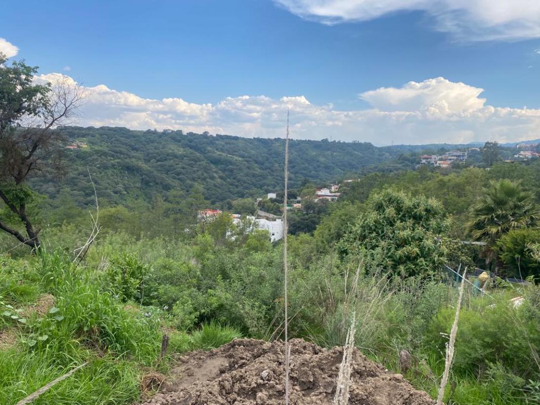 Calzada de los Llorones, Atizapán de Zaragoza, Estado de México, 52936, Mexico, 1 Bedroom Bedrooms, ,Residential,For Sale,Calzada de los Llorones,1622127