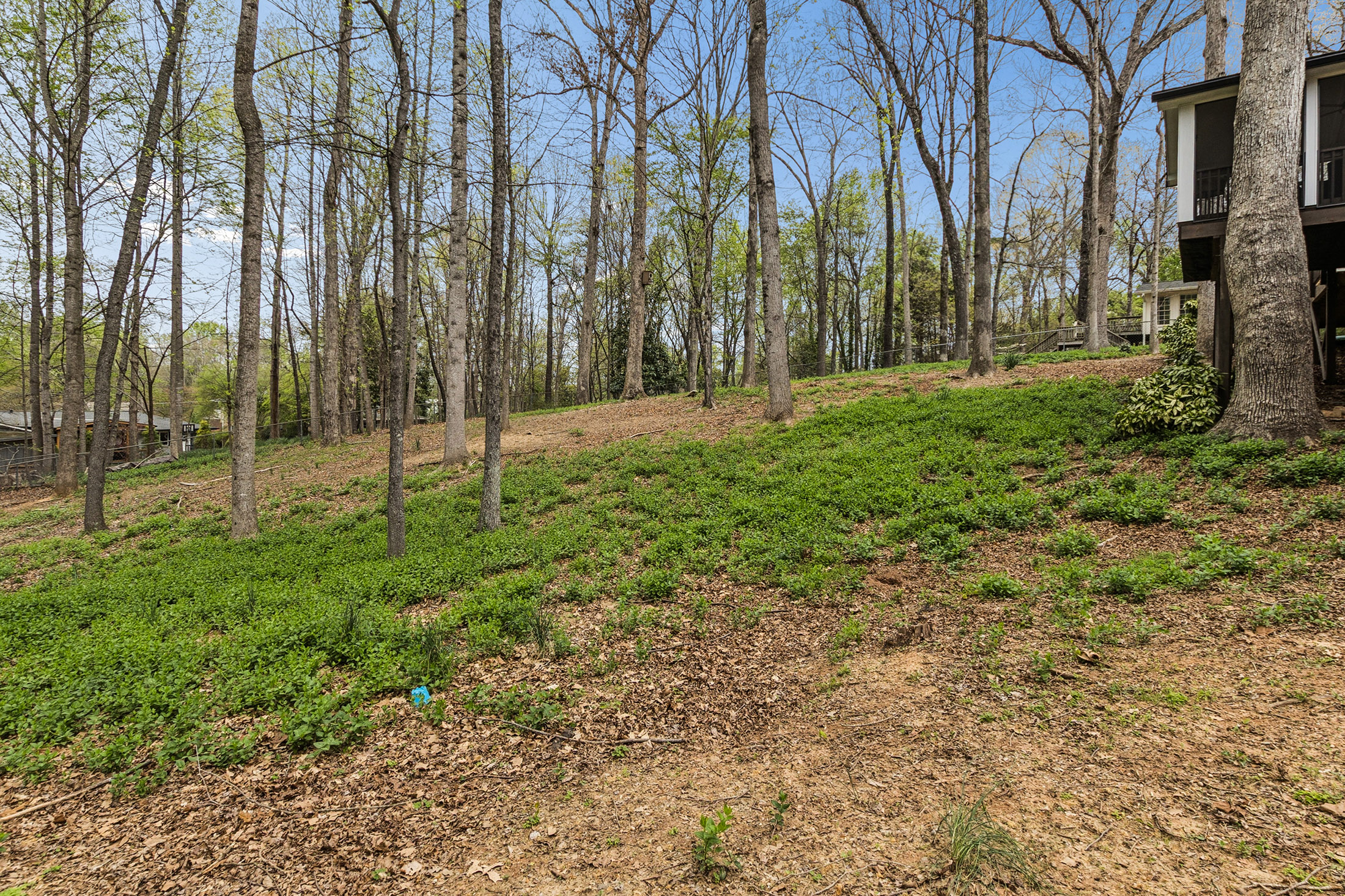  Charming Brick Ranch Nestled in Desirable Lockridge Forest Community - 物件實景