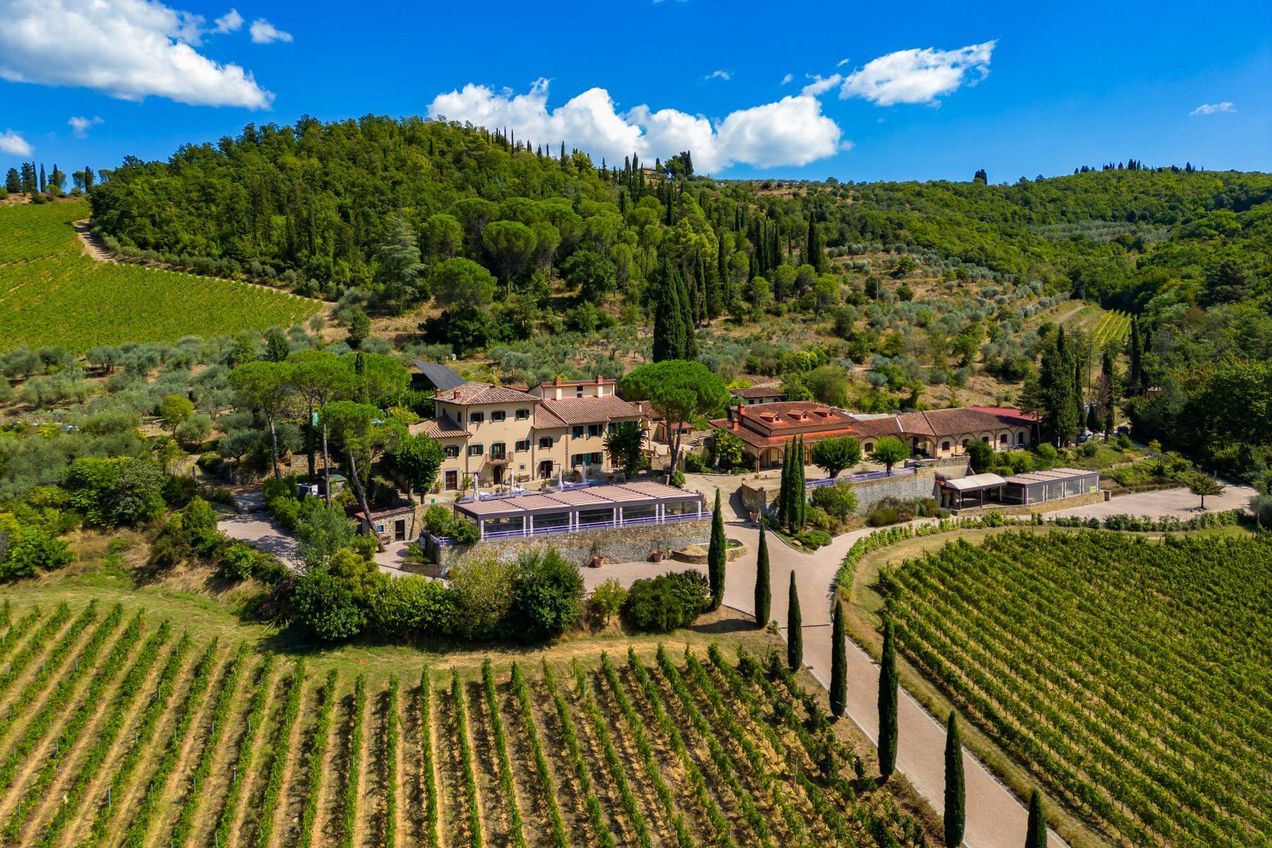  Wine estate with SPA and restaurant facilities - 物件實景