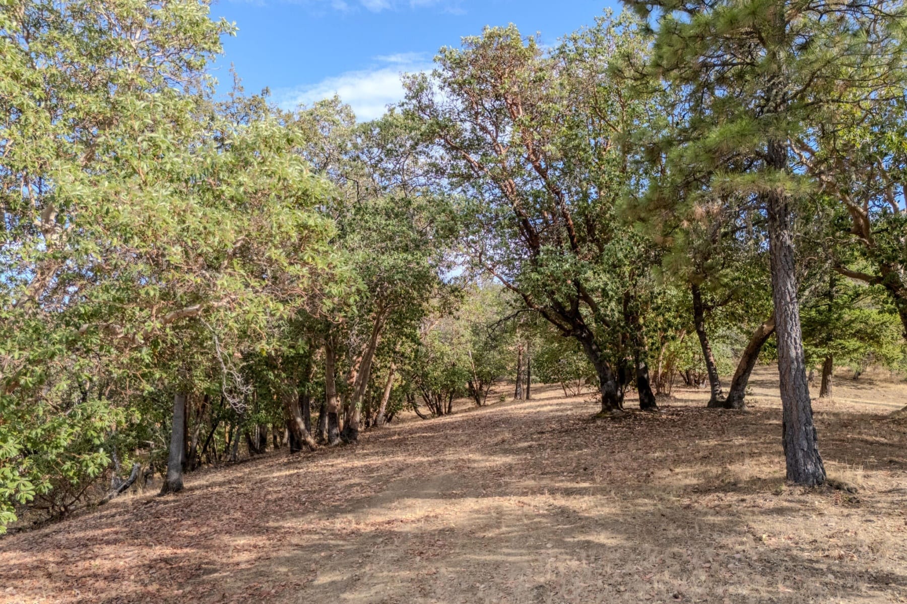  3551 S Stage Road #Lot 2 Medford, OR 97501 - 物件實景