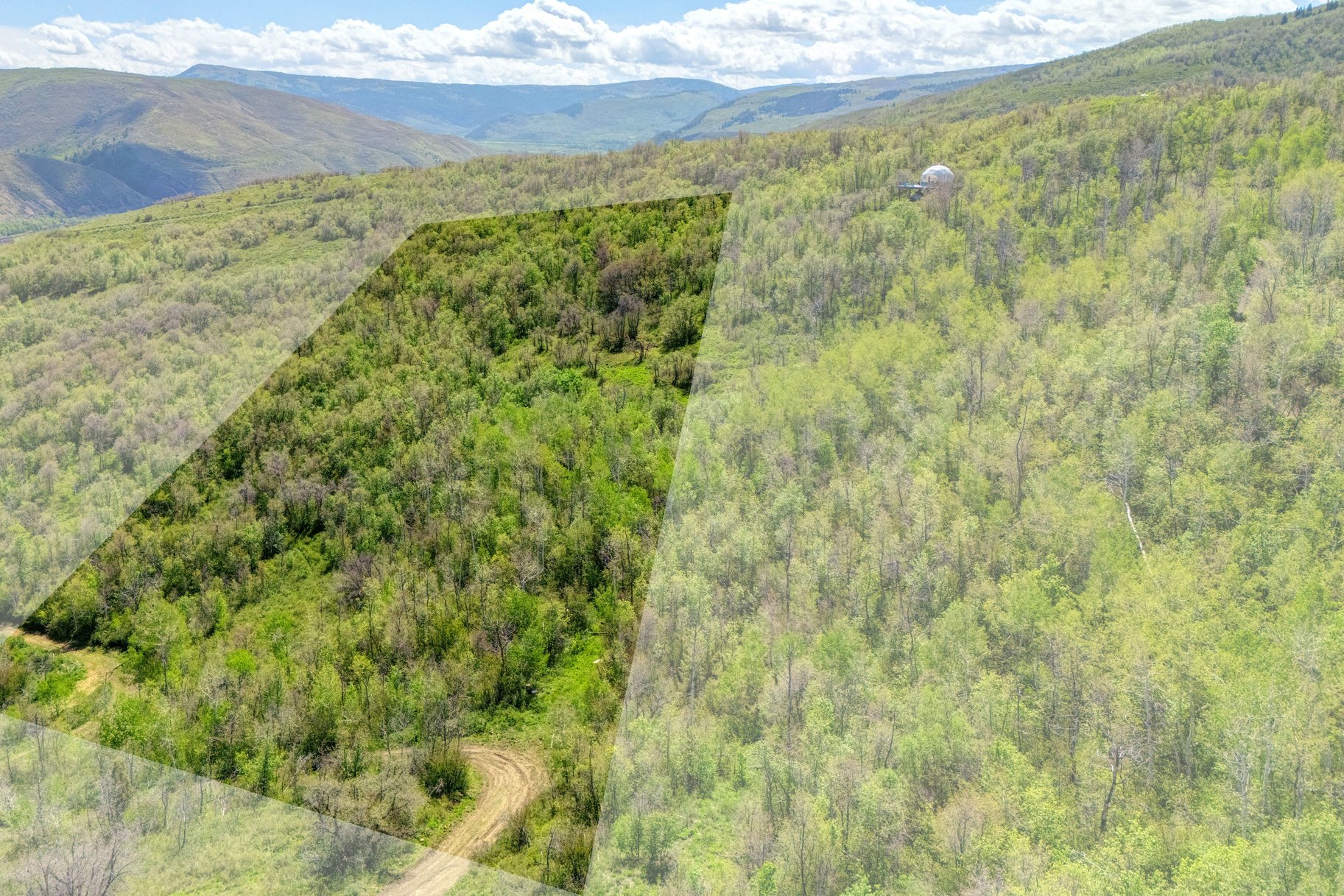  Wooded 5 acres No HOA - 物件實景