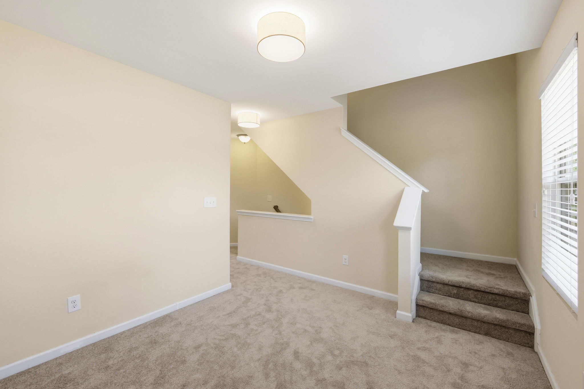  110 Mount Evans Drive, Durham, NC 27705 - 物件實景