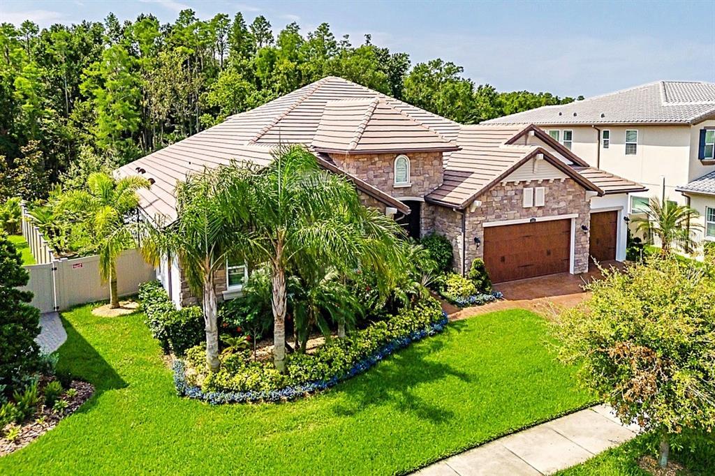 Wesley Chapel, Florida, 33543, United States, 4 Bedrooms Bedrooms, ,5 BathroomsBathrooms,Residential,For Sale,1838527