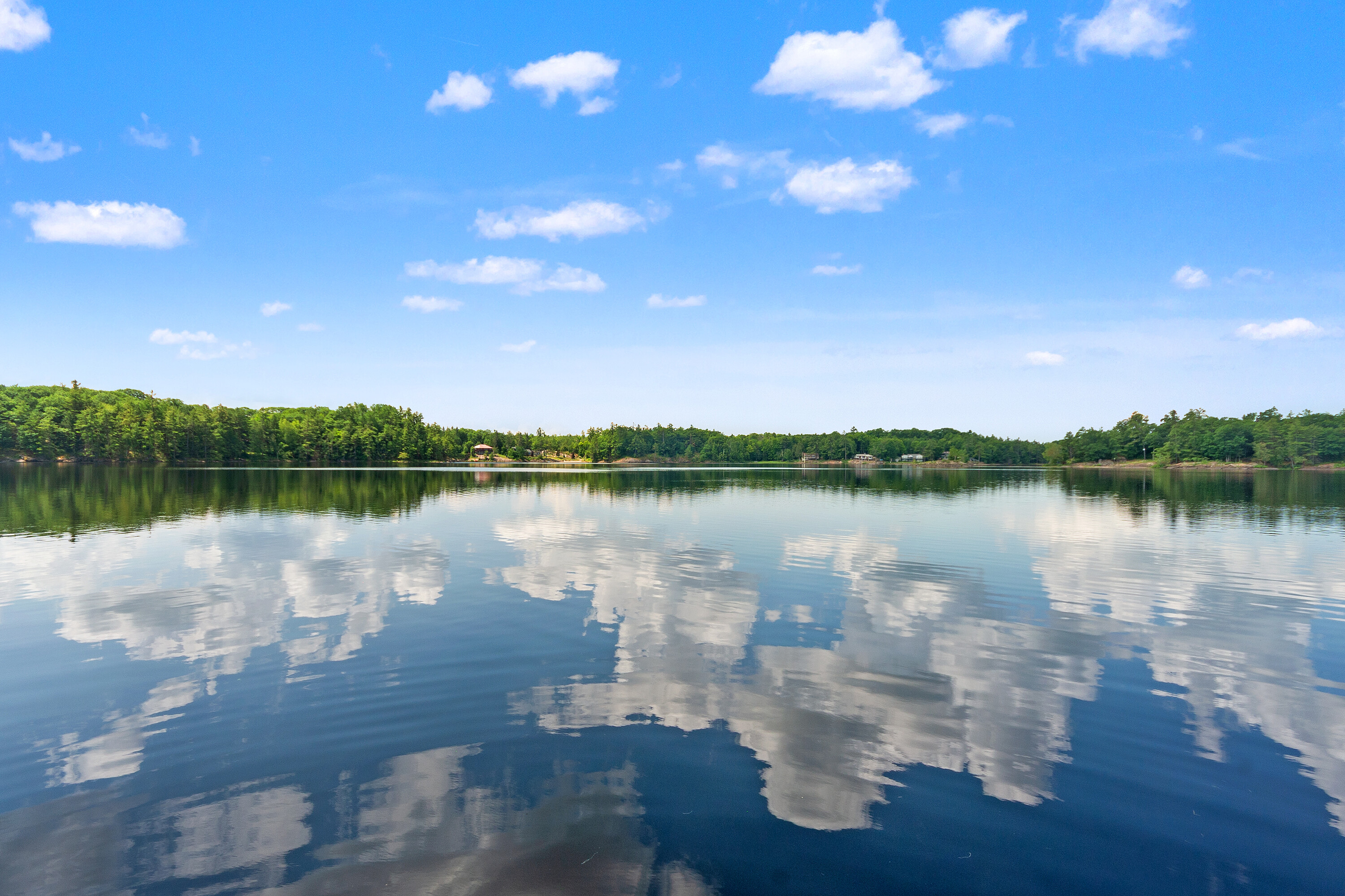  Gibson Lake Family Cottage - 物件實景