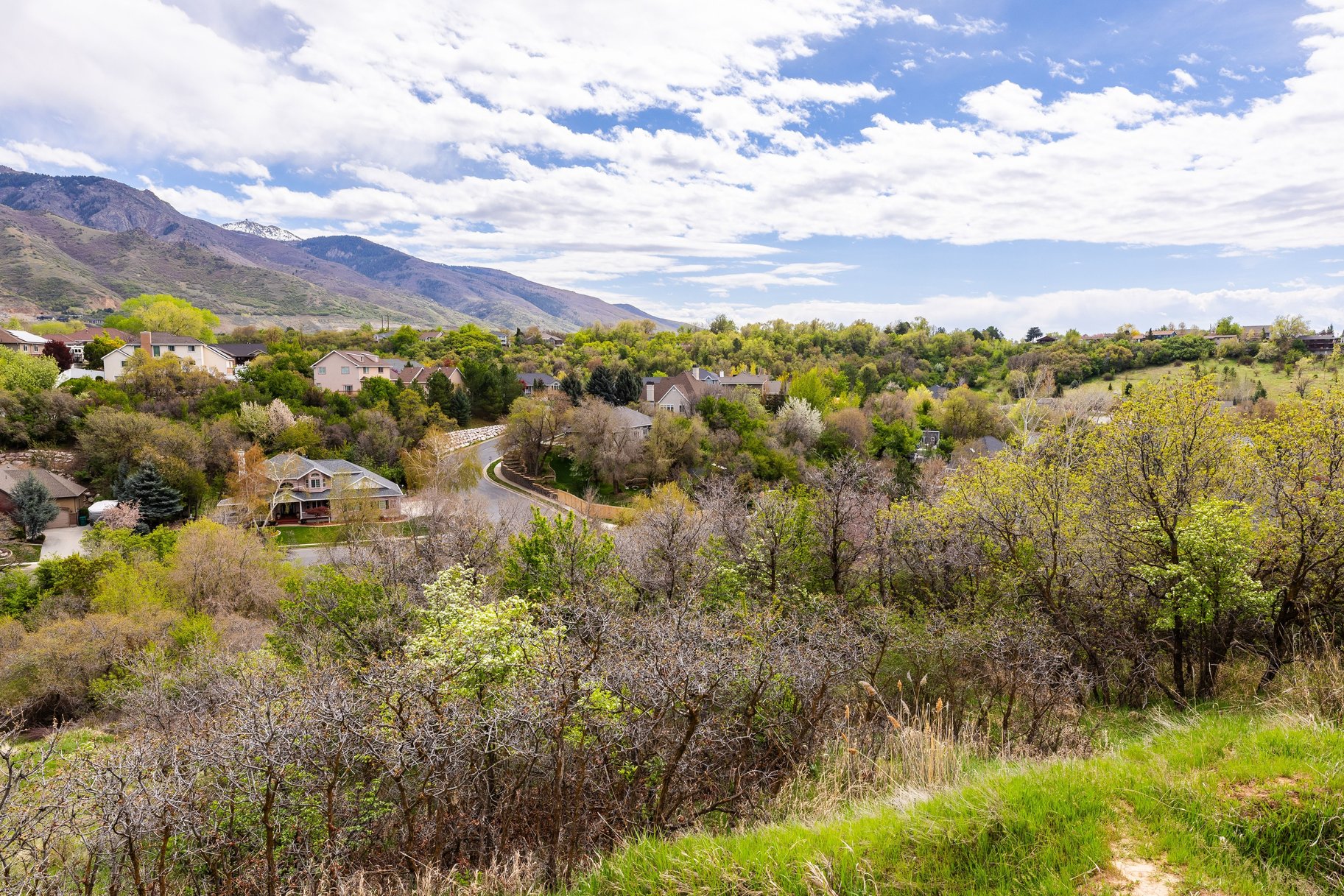  1.47 Acre Lot In East Layton With Endless Possibilities - 物件實景