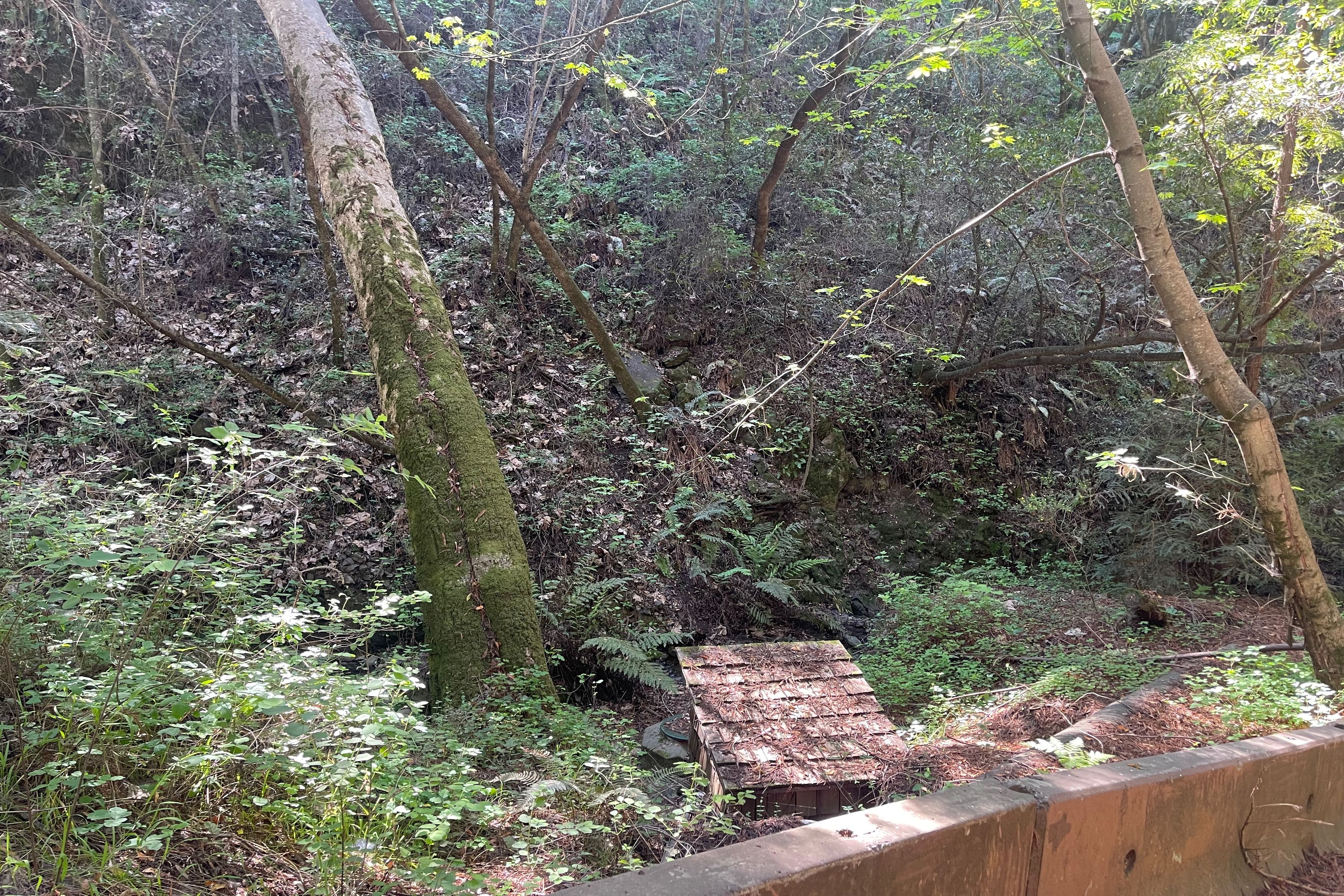  0 Sycamore Cyn Road - 物件實景