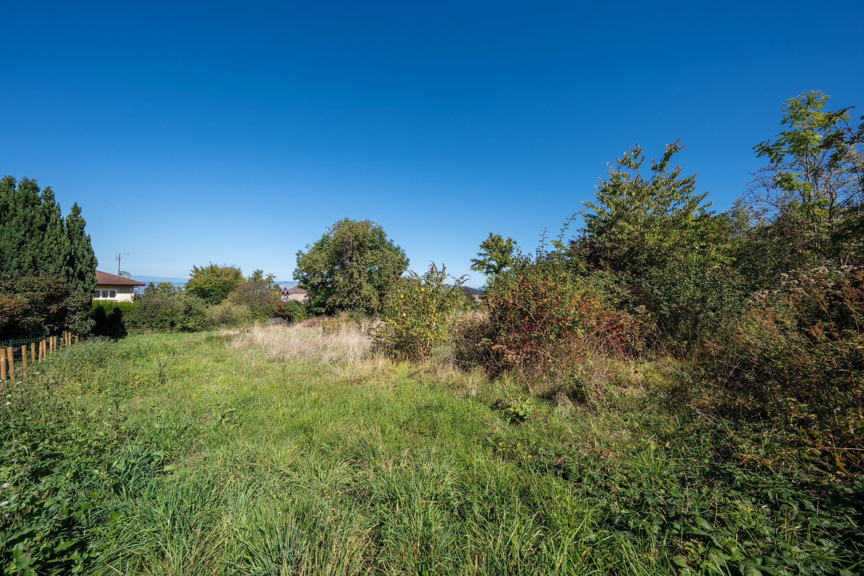  Neuvecelle, 836 m² plot of building land - 物件實景