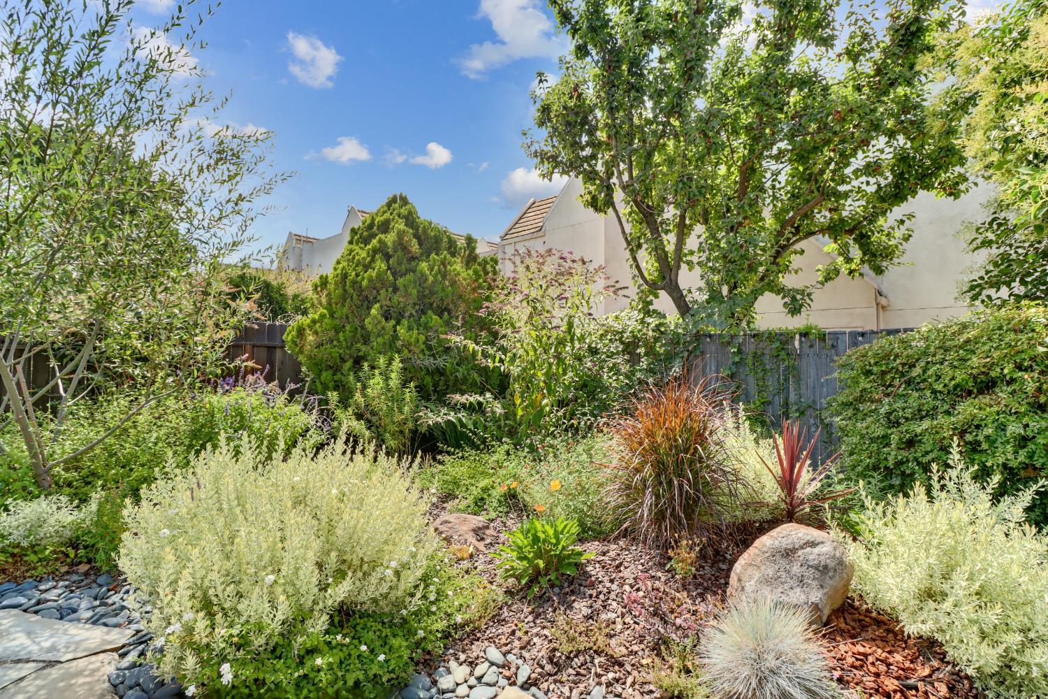 Davis, California, 95616, United States, 3 Bedrooms Bedrooms, ,2 BathroomsBathrooms,Residential,For Sale,1901059