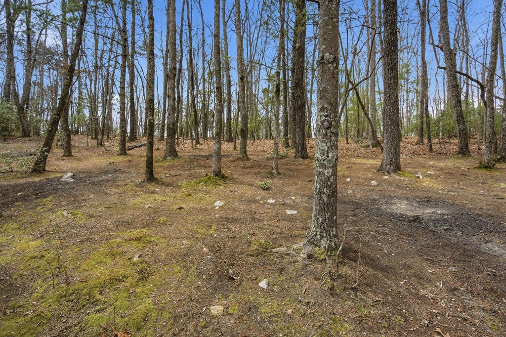 Ellijay, Georgia, 30536, United States, 2 Bedrooms Bedrooms, ,3 BathroomsBathrooms,Residential,For Sale,2034999