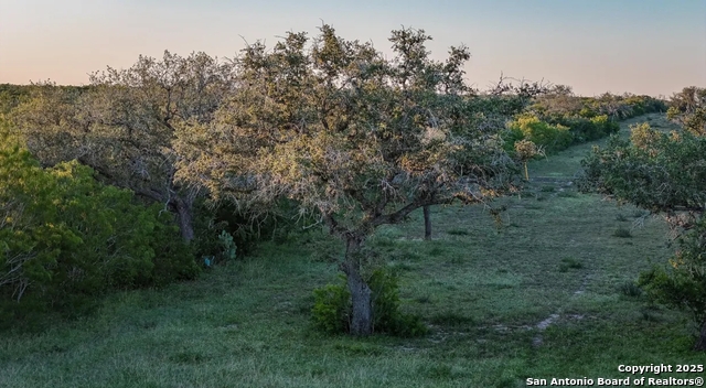 Beeville, Texas, 78102, United States, ,Land,For Sale,1988110