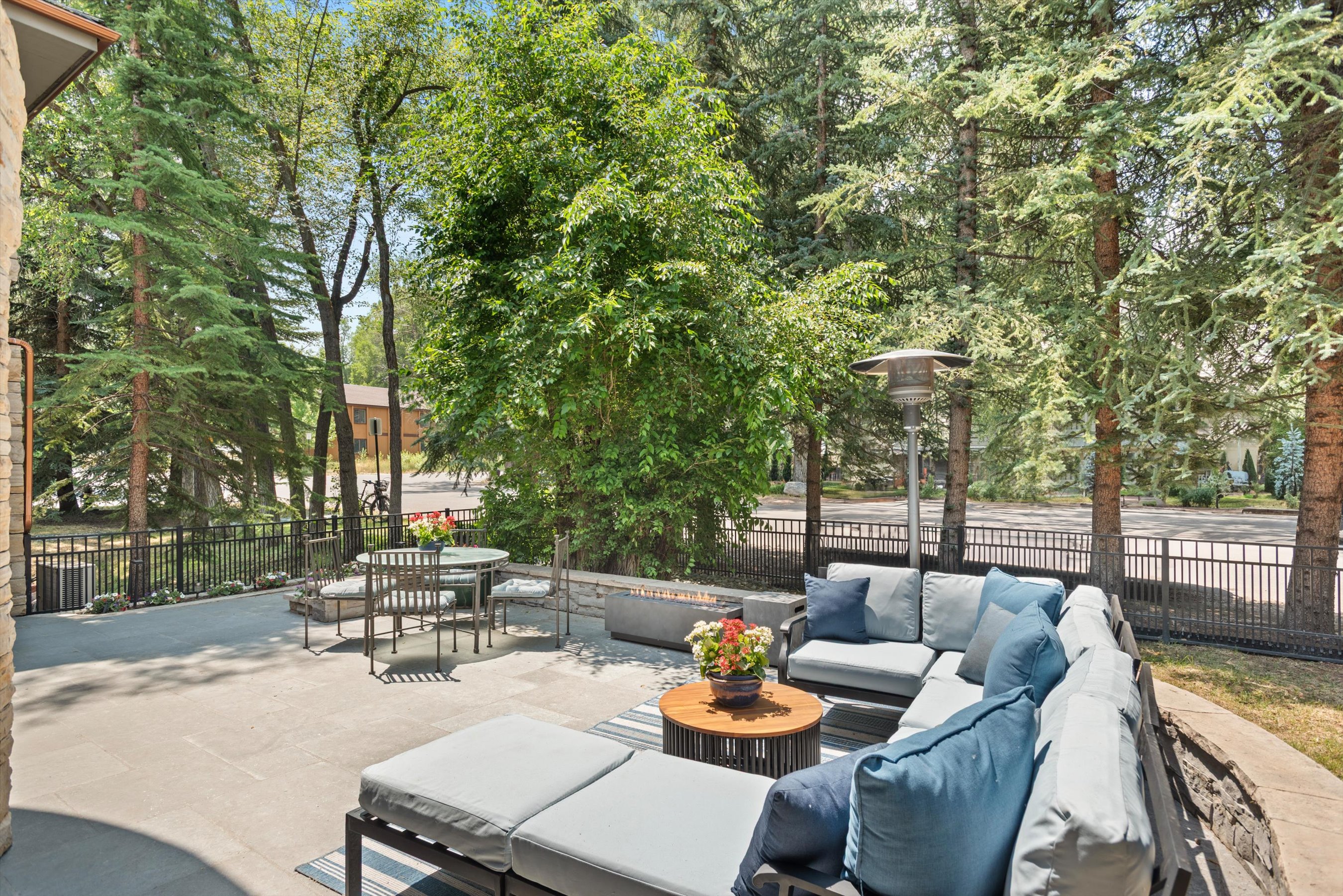  736 W Smuggler Street, Aspen, CO, 81611 - 物件實景