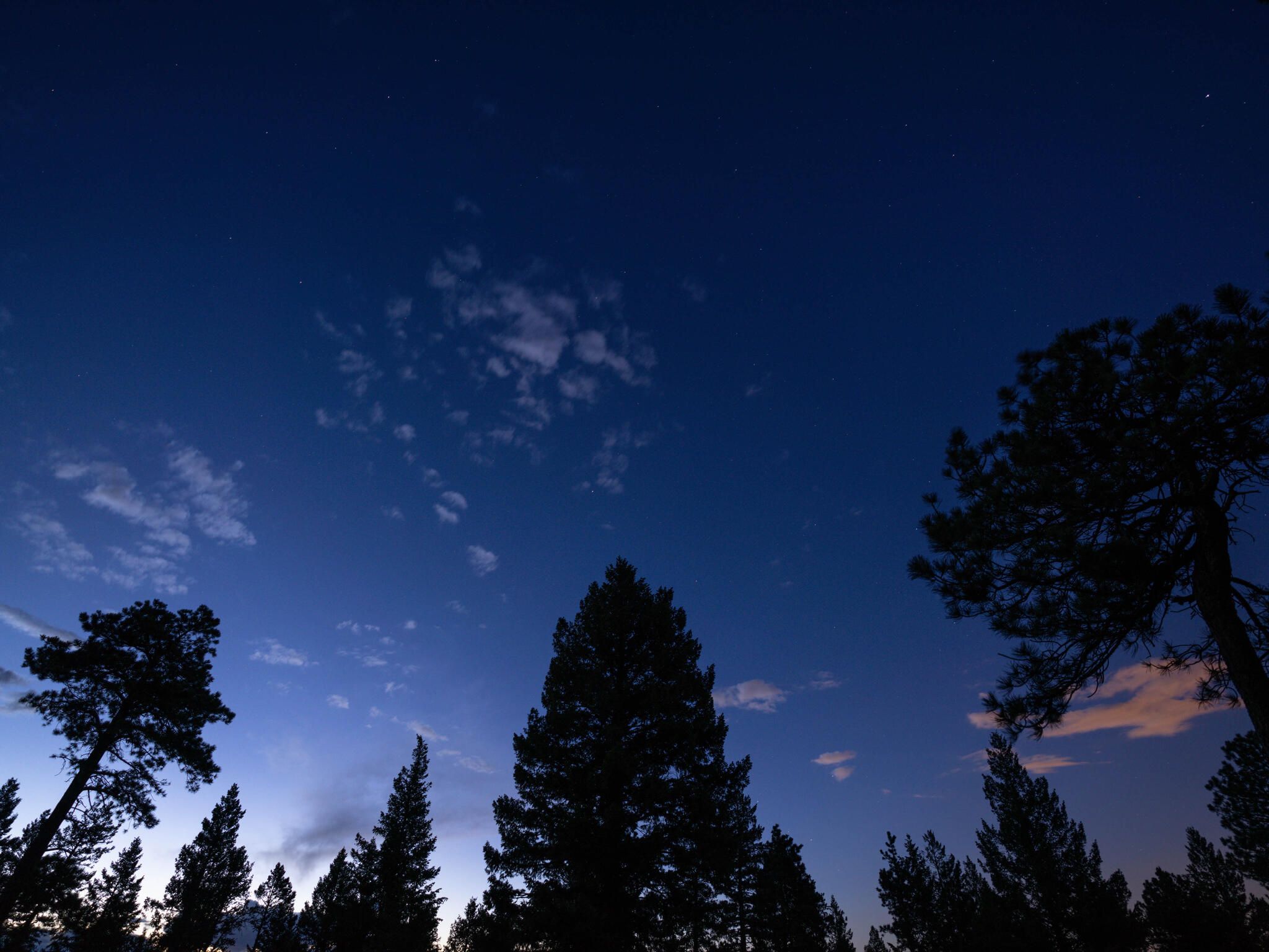  Acreage Available in Evergreen