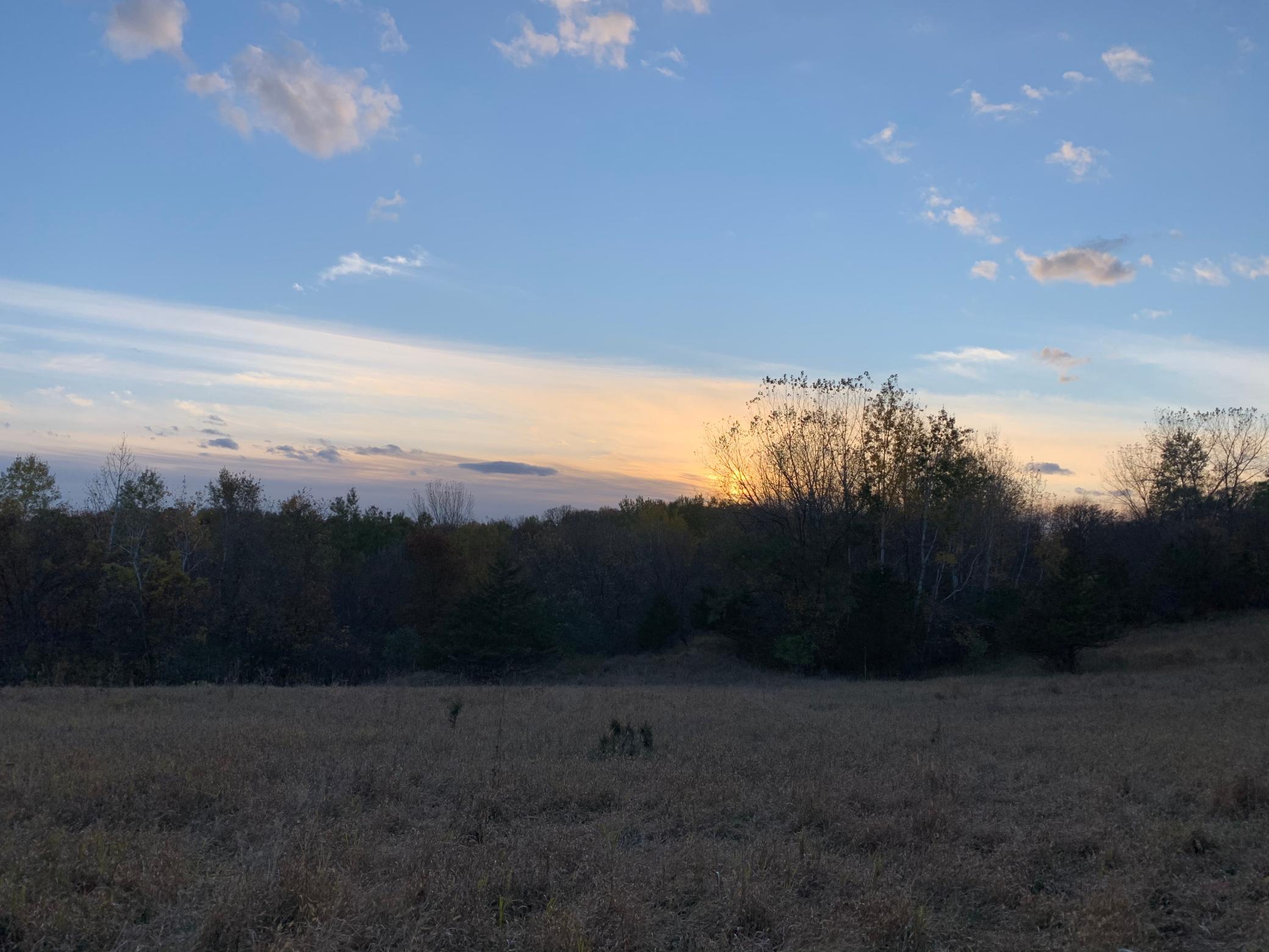 Tbd 75th Street NW, Oronoco Twp, Minnesota, 55901, United States, ,Land,For Sale,Tbd 75th Street NW,1626085
