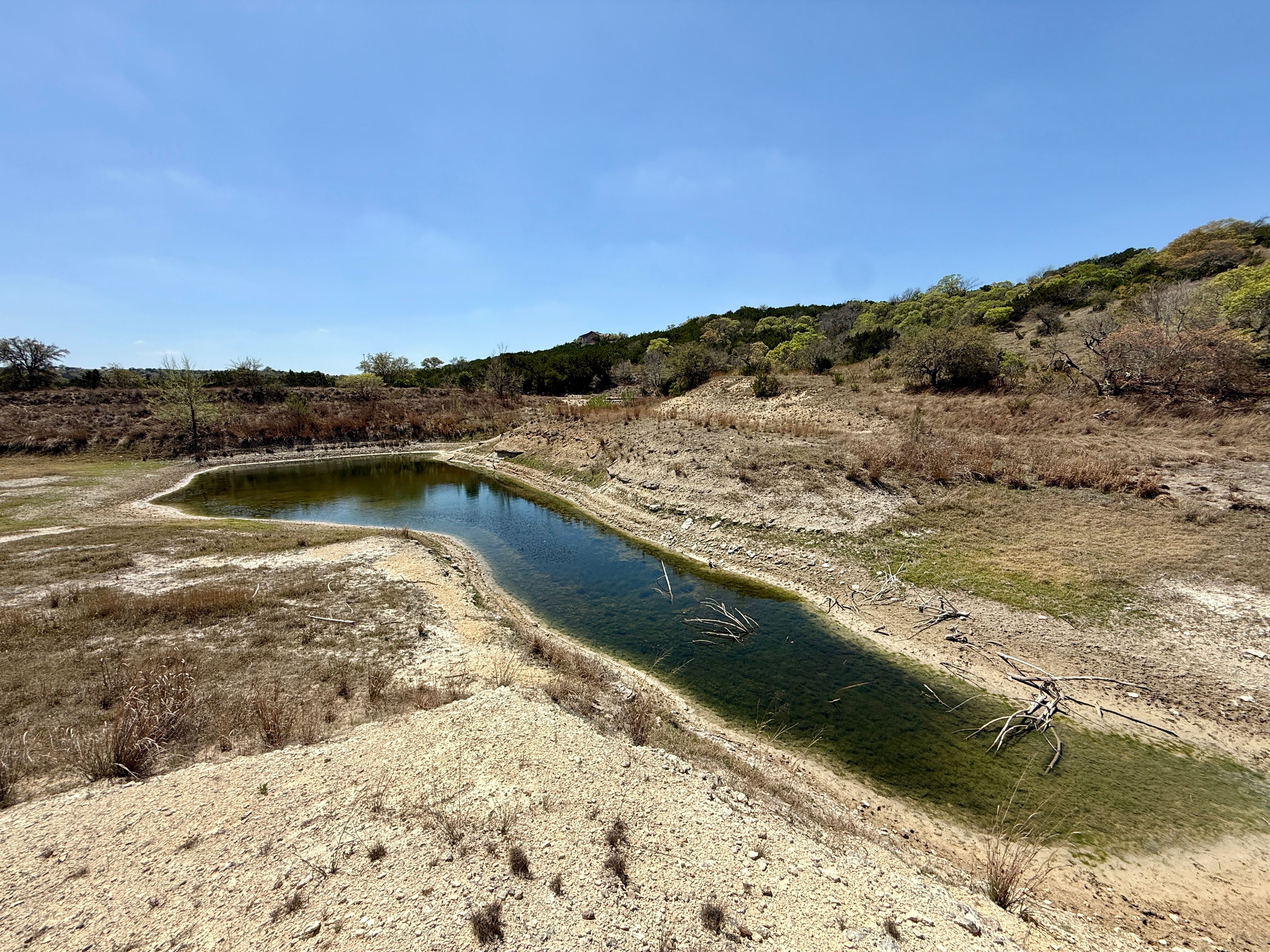  72+/- Acre Palmetto Creek Ranch - 物件實景