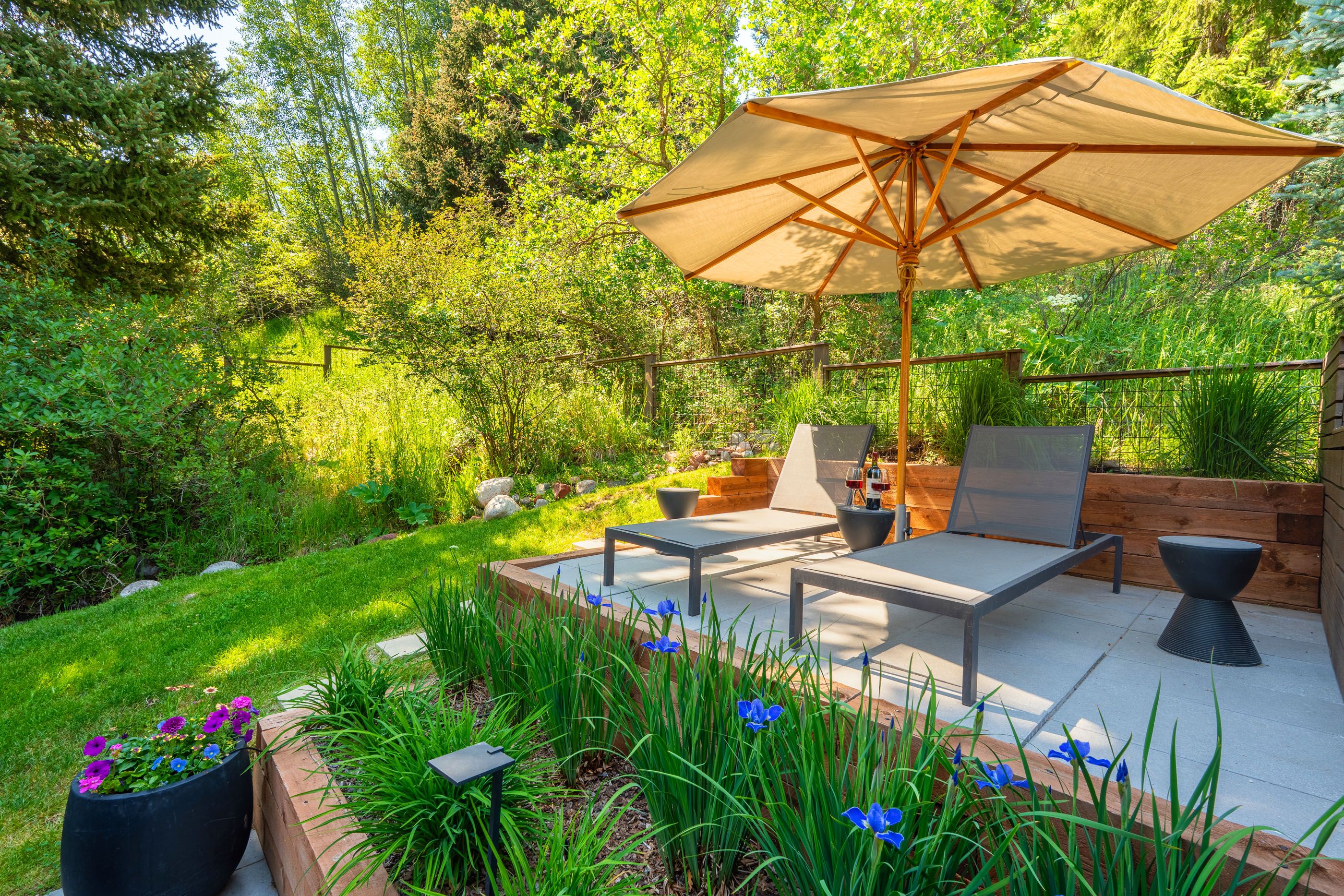  1235 Red Butte Drive, Aspen, CO 81611 - 物件實景