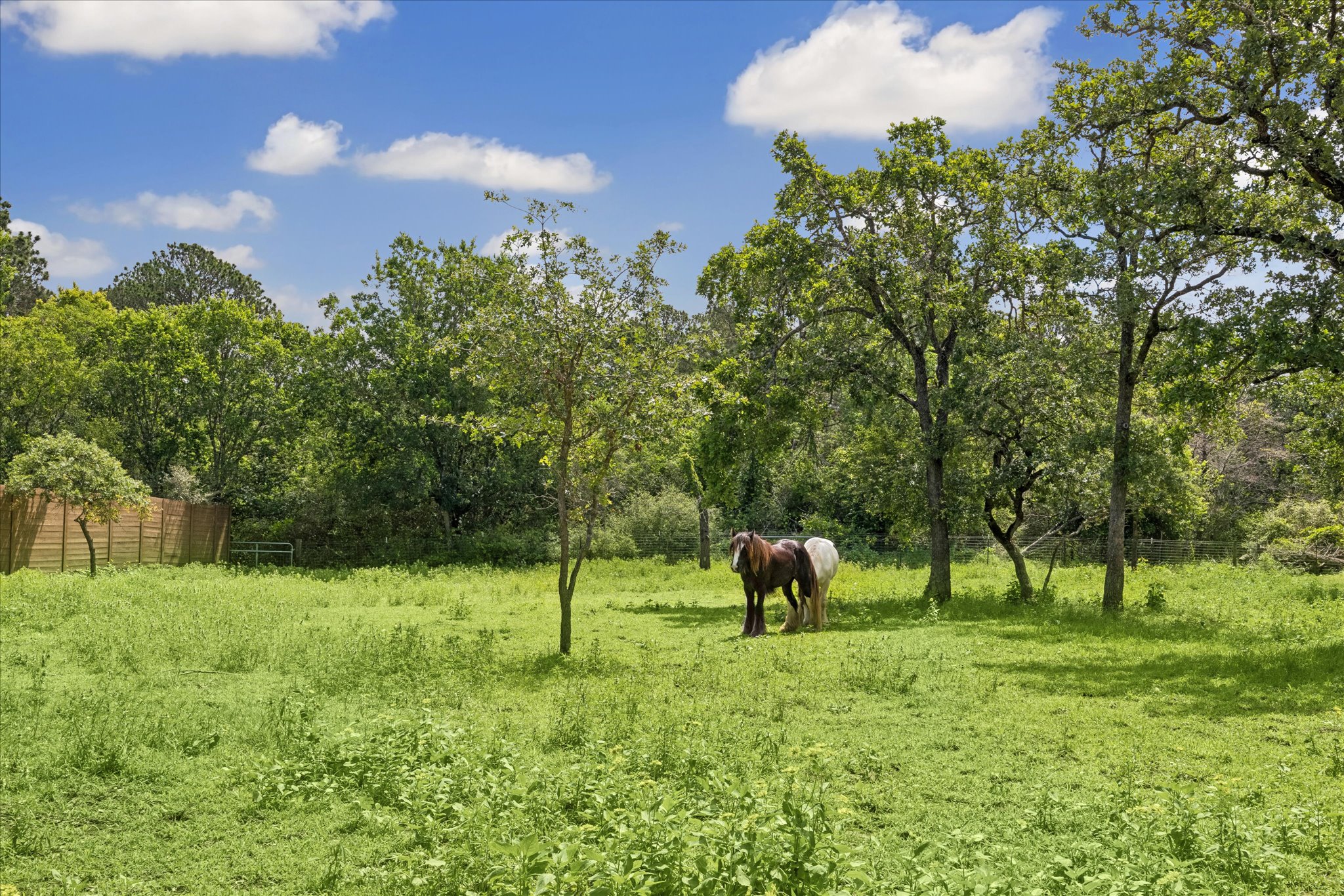  Sweetheart Ranch - 物件實景